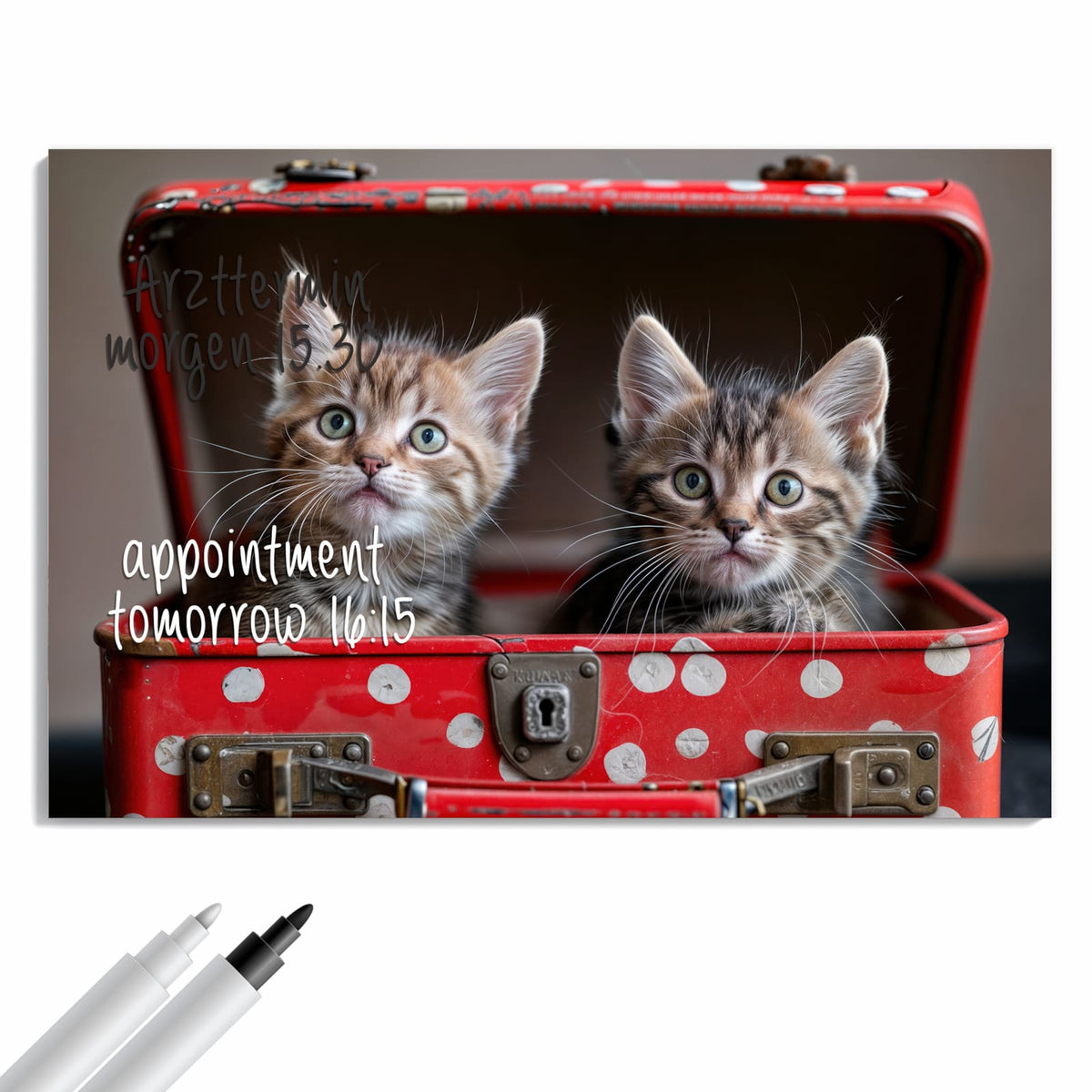 Beschreiben, abwischen, anheften – Metall Magnettafel - Katzen im Koffer