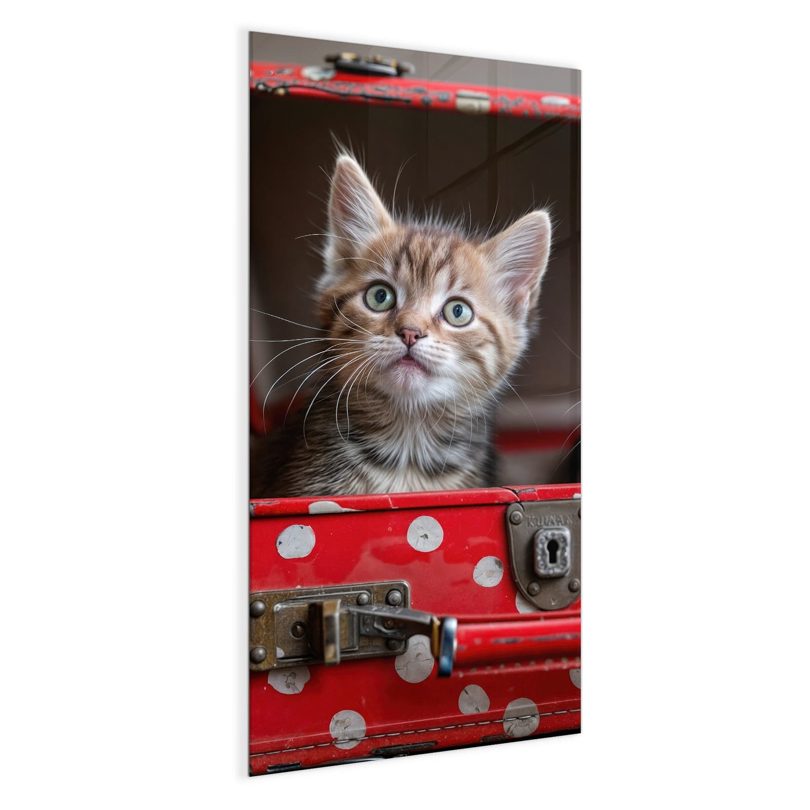 #grösse_50 x 100 cm