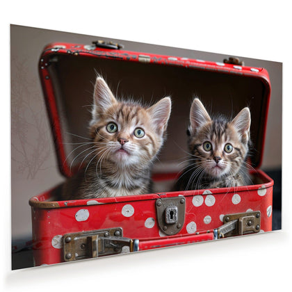 Wandbild mit dem Motiv Katzen im Koffer