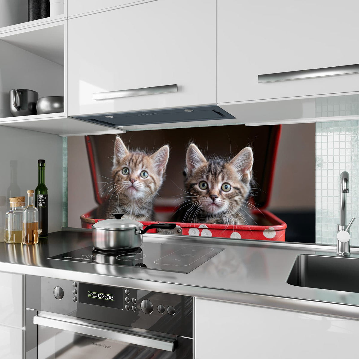 Küchenrückwand aus Glas Katzen im Koffer im Hochformat als Spritzschutz hinter dem Kochfeld, über dem Fliesenspiegel montiert