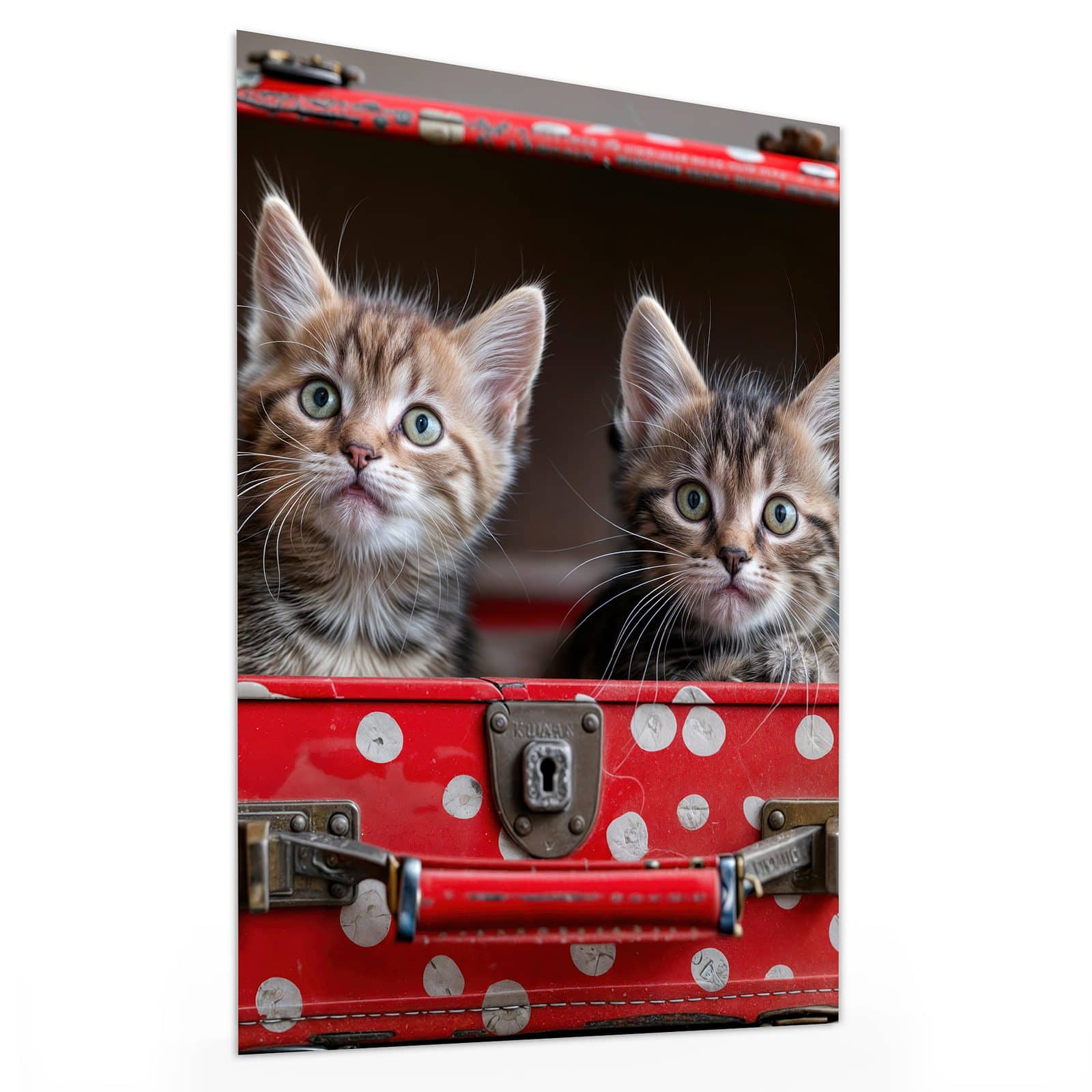 #grösse_30 x 40 cm #grösse_60 x 80 cm #grösse_75 x 100 cm