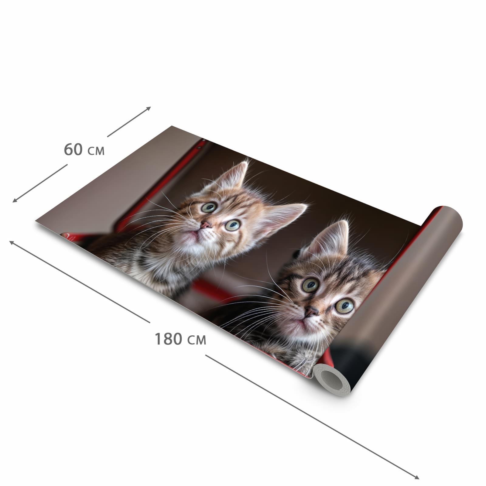 Langlebiger Küchenläufer mit Motiv Katzen im Koffer in der Grösse 80x200 cm