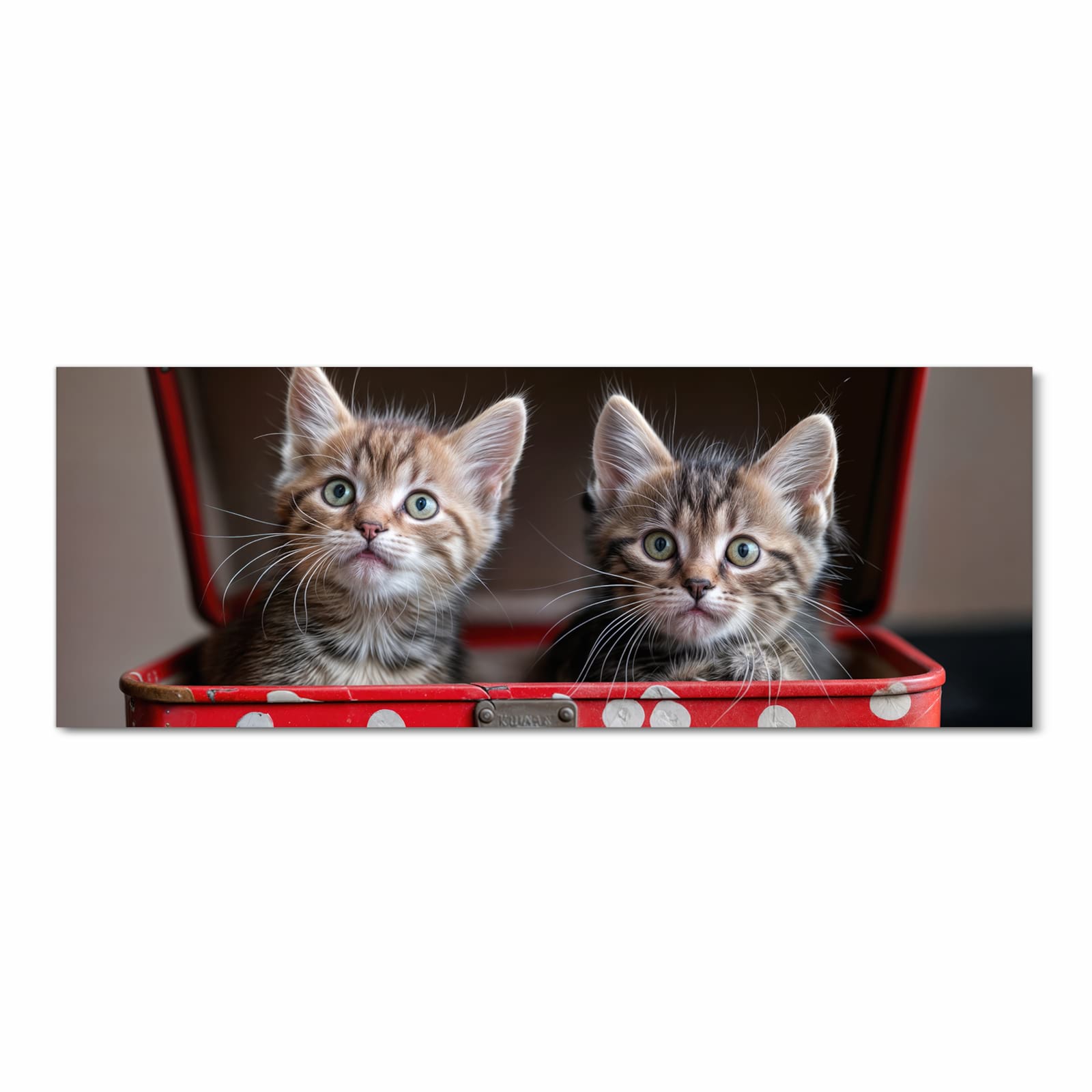 Küchenteppich mit Motiv Katzen im Koffer in Frontansicht für sichere Aufbewahrung