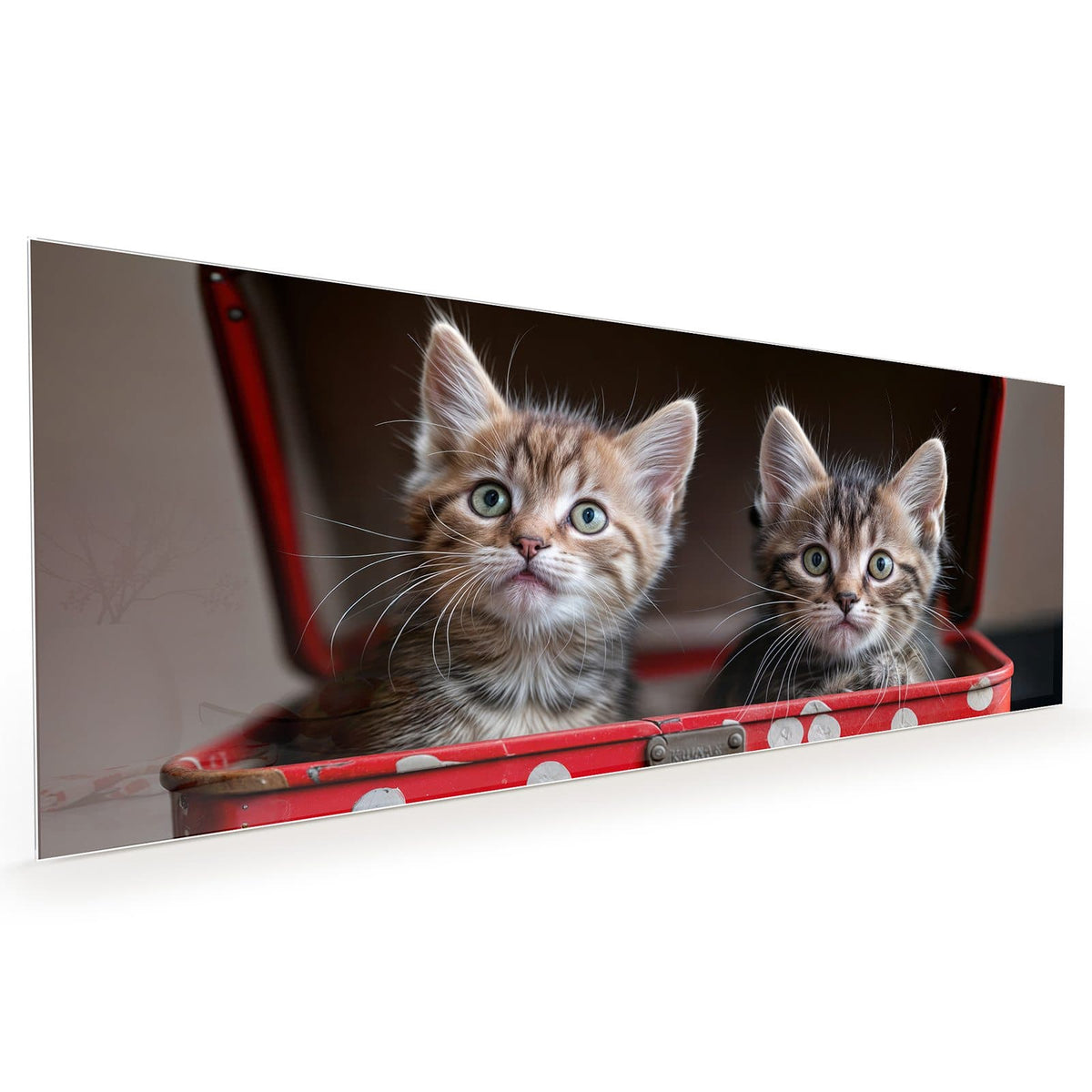 Küchenrückwand aus Glas im Hochformat mit Motiv Katzen im Koffer: Zwei getigerte Kätzchen schauen aus einem roten Koffer mit weißen Punkten