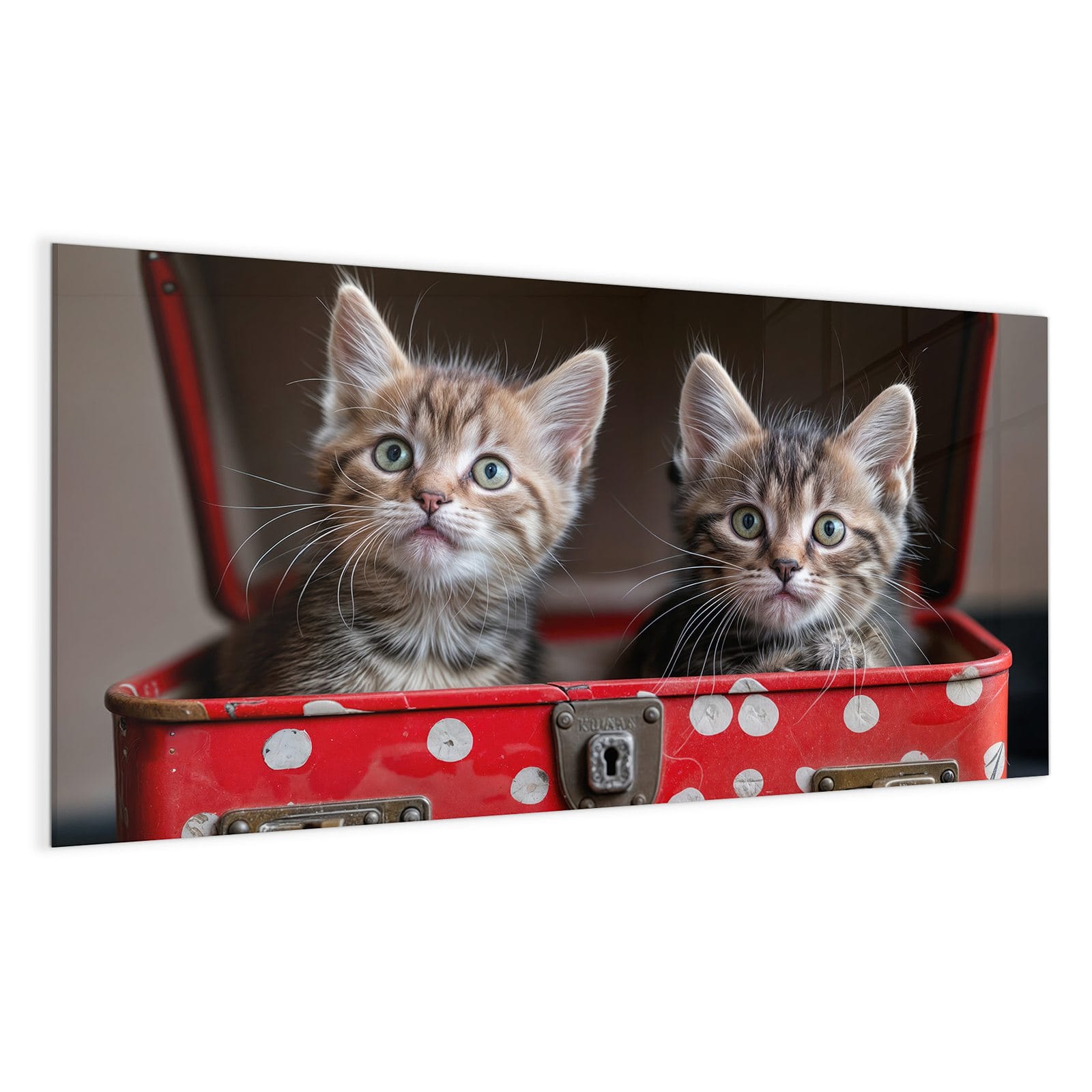 #grösse_100 x 50 cm