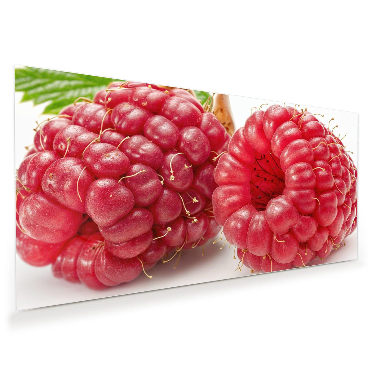 Zwei überdimensionale, glasig rote Himbeeren mit langen Griffeln, dahinter ein grünes Blatt und eine trockene Hülse auf Weiß