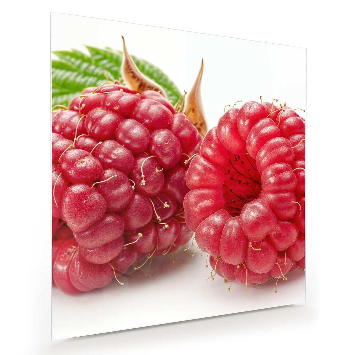 Zwei überdimensionale, glasig rote Himbeeren mit langen Griffeln, dahinter ein grünes Blatt und eine trockene Hülse auf Weiß