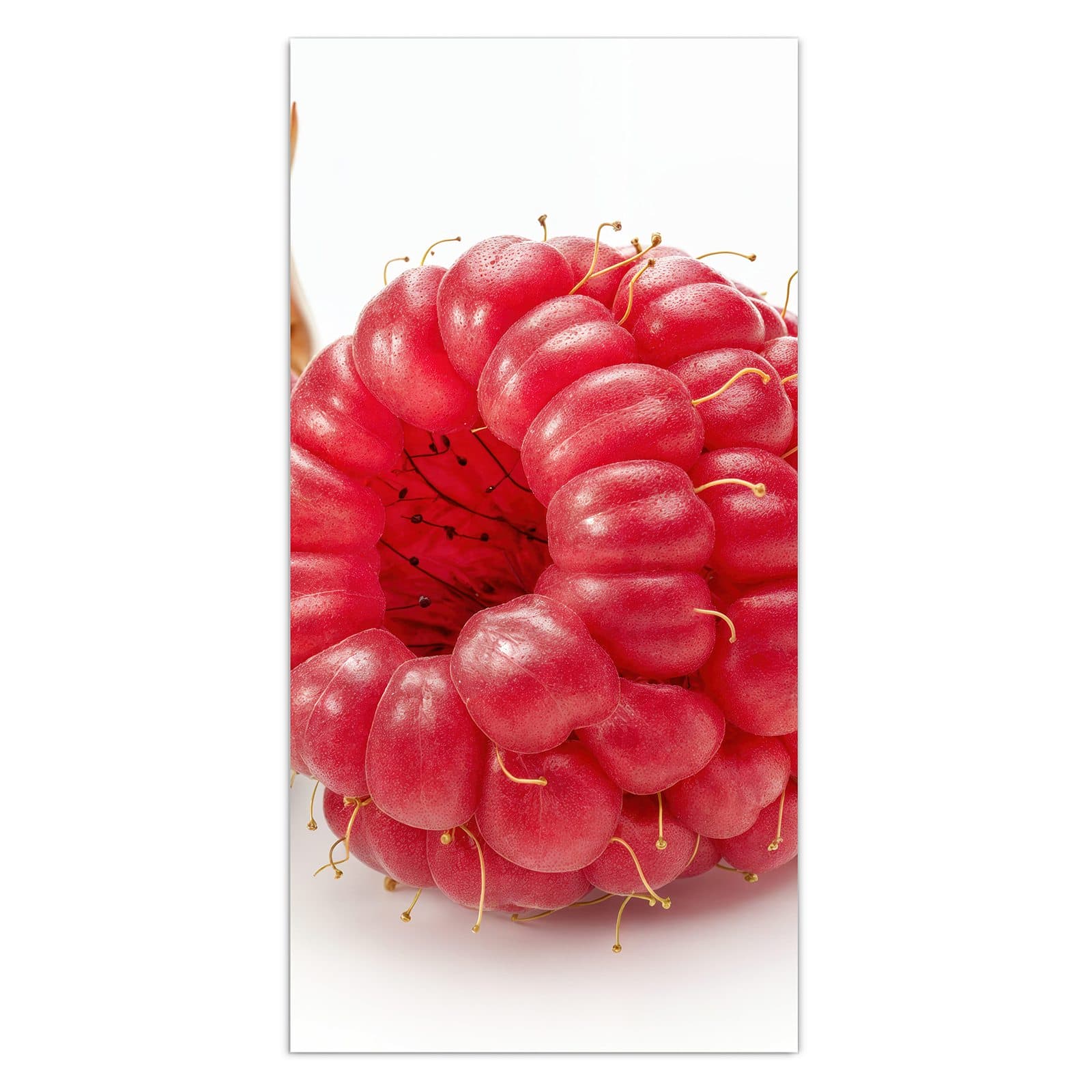 #grösse_30 x 60 cm #grösse_40 x 80 cm #grösse_50 x 100 cm #grösse_55 x 110 cm #grösse_60 x 120 cm