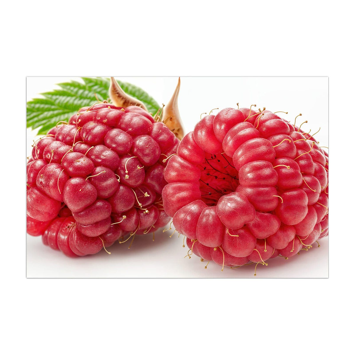 Küchenrückwand aus Glas Surreale Himbeeren im Hochformat, Motiv bildfüllend von vorn
