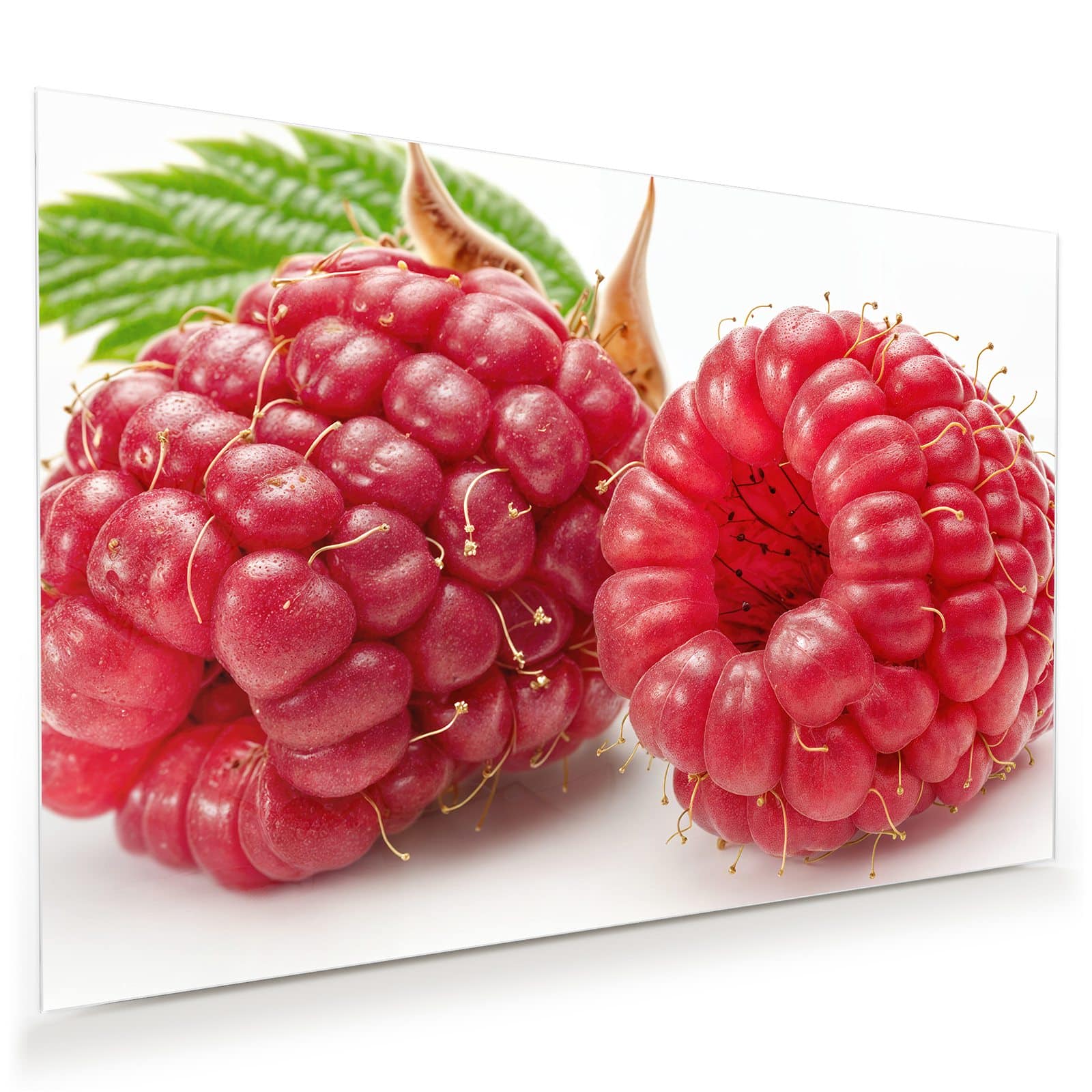 #grösse_45 x 30 cm #grösse_60 x 40 cm #grösse_75 x 50 cm #grösse_90 x 60 cm #grösse_120 x 80 cm