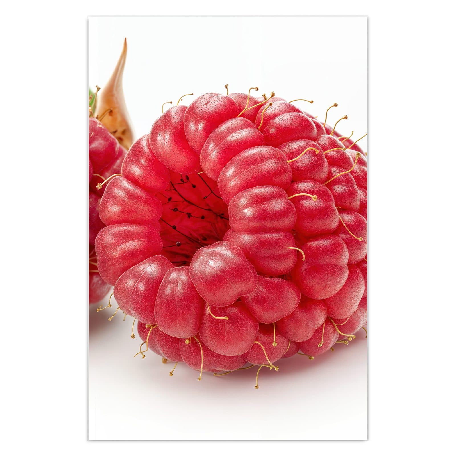 #grösse_40 x 60 cm #grösse_50 x 75 cm #grösse_60 x 90 cm