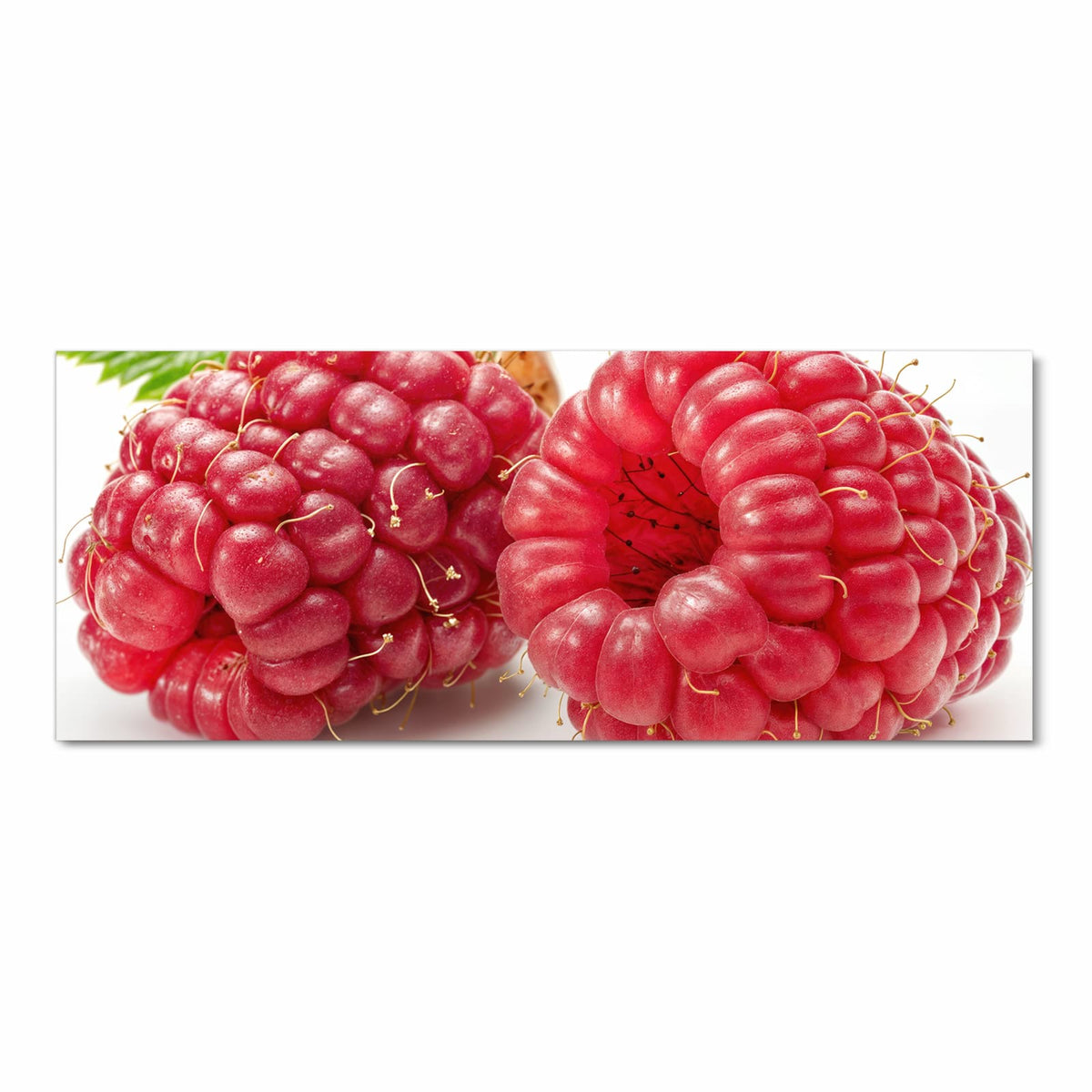 Zwei überdimensionale, glasig rote Himbeeren mit langen Griffeln, dahinter ein grünes Blatt und eine trockene Hülse auf Weiß