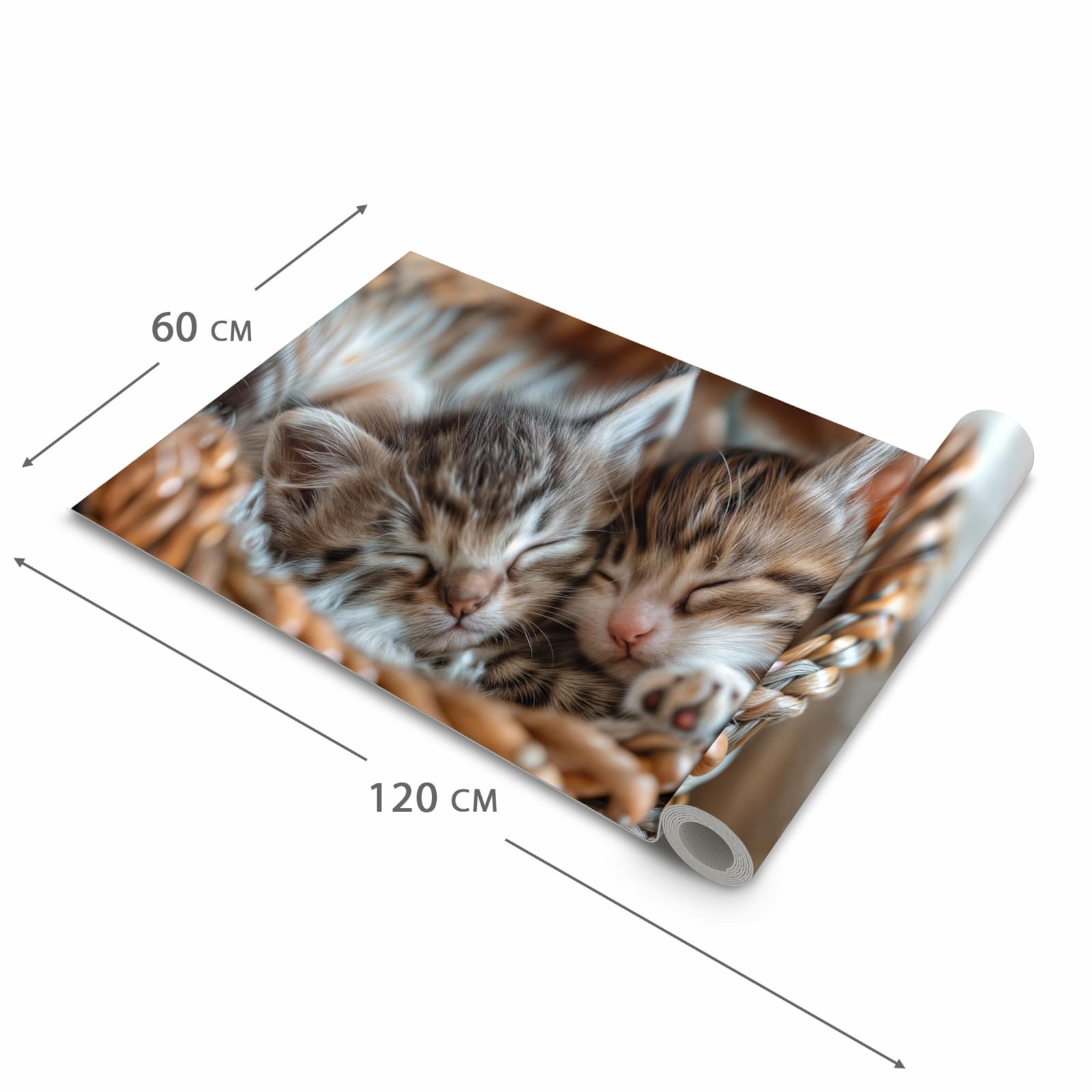 Fleckenresistenter waschbarer Teppich Küche mit Motiv Kätzchen von Schlafende in der Grösse 60x90 cm