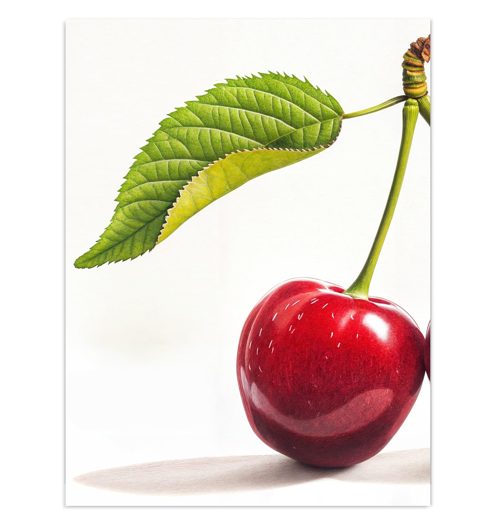 #grösse_30 x 40 cm #grösse_60 x 80 cm #grösse_75 x 100 cm