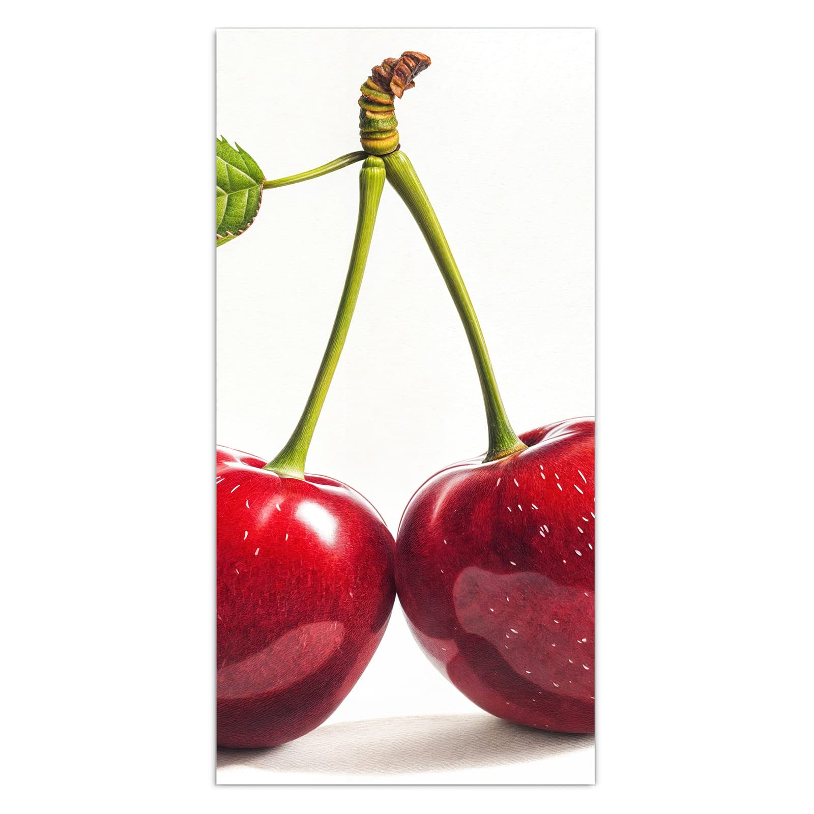 #grösse_30 x 60 cm #grösse_40 x 80 cm #grösse_50 x 100 cm #grösse_55 x 110 cm #grösse_60 x 120 cm