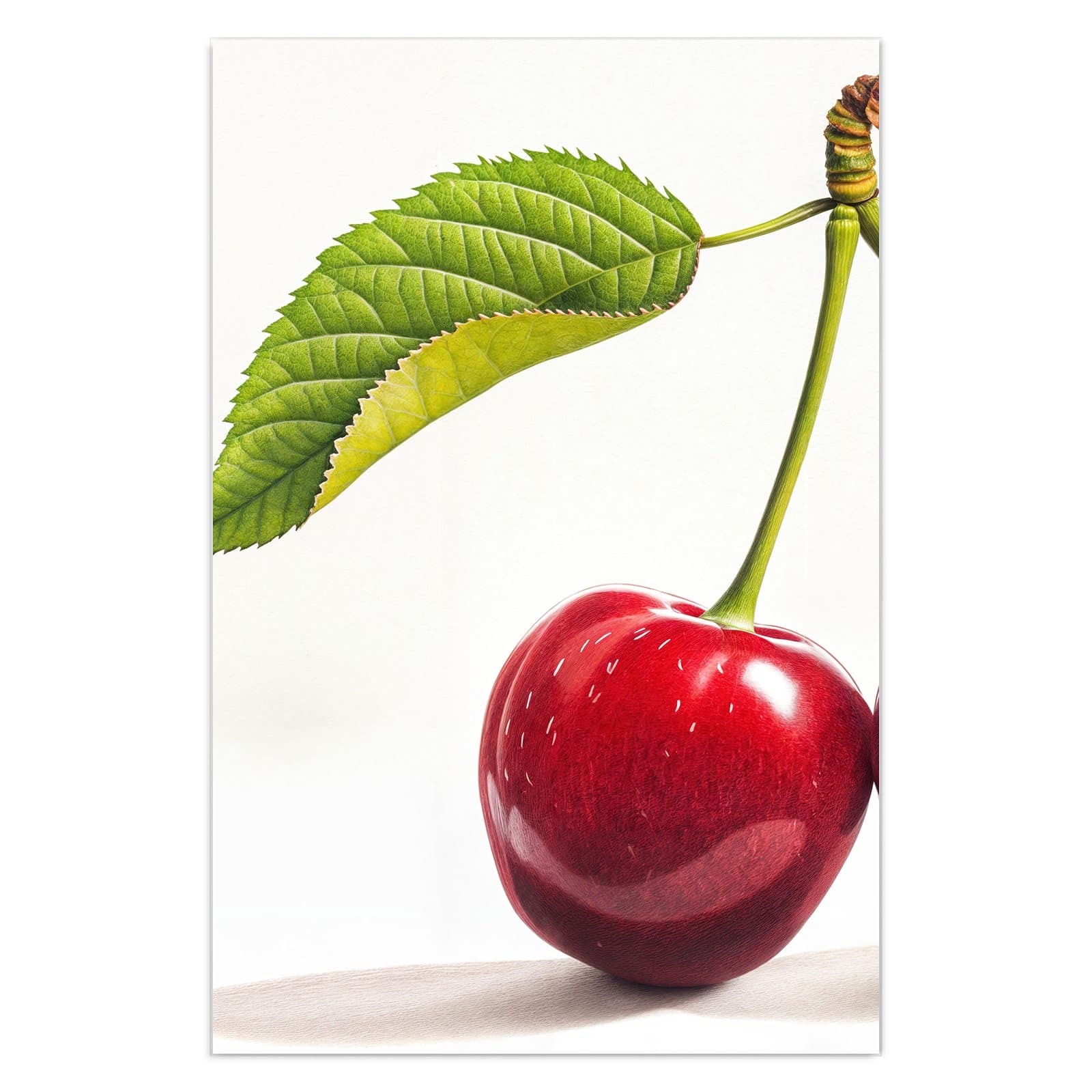 #grösse_40 x 60 cm #grösse_50 x 75 cm #grösse_60 x 90 cm