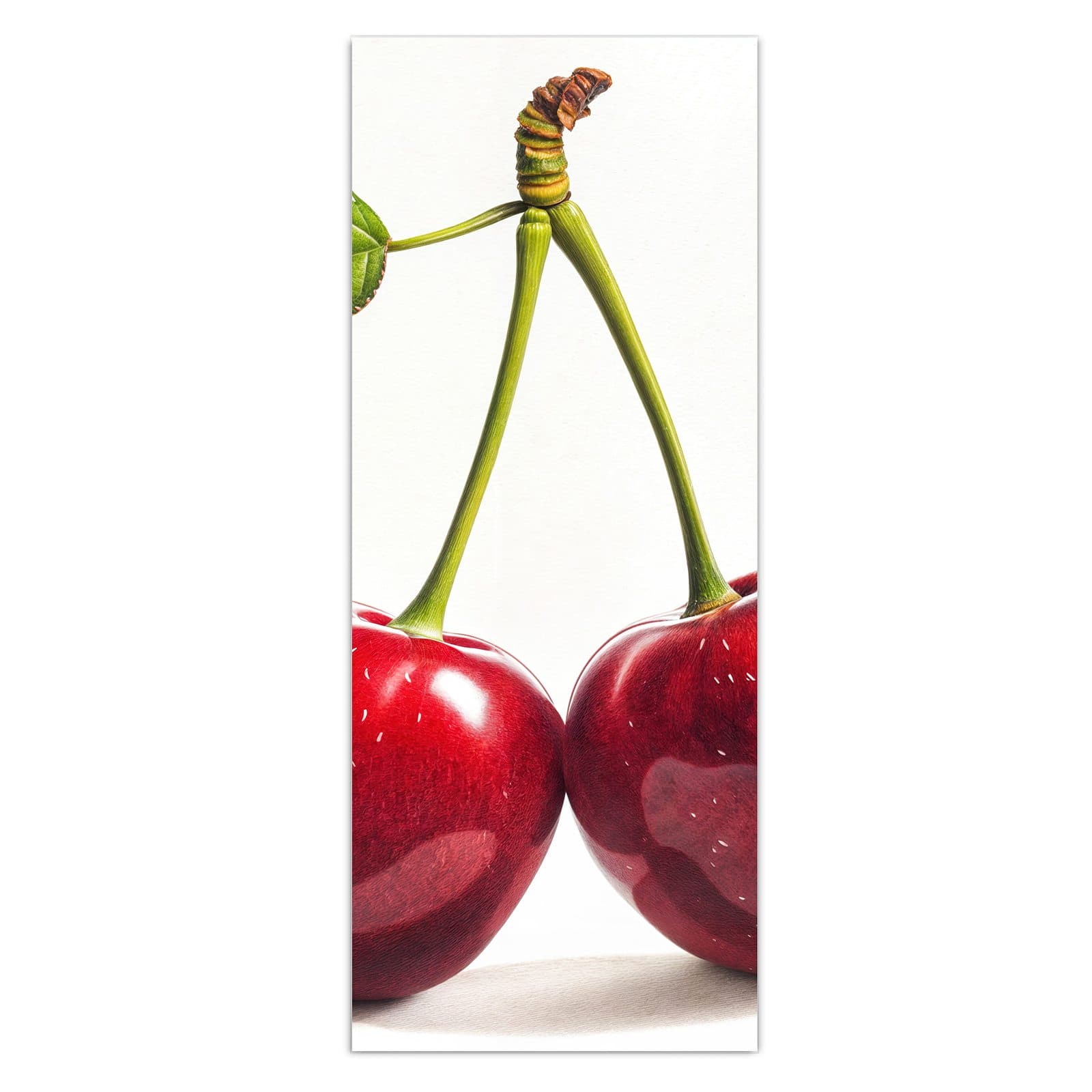 #grösse_50 x 125 cm #grösse_40 x 100 cm #grösse_60 x 150 cm