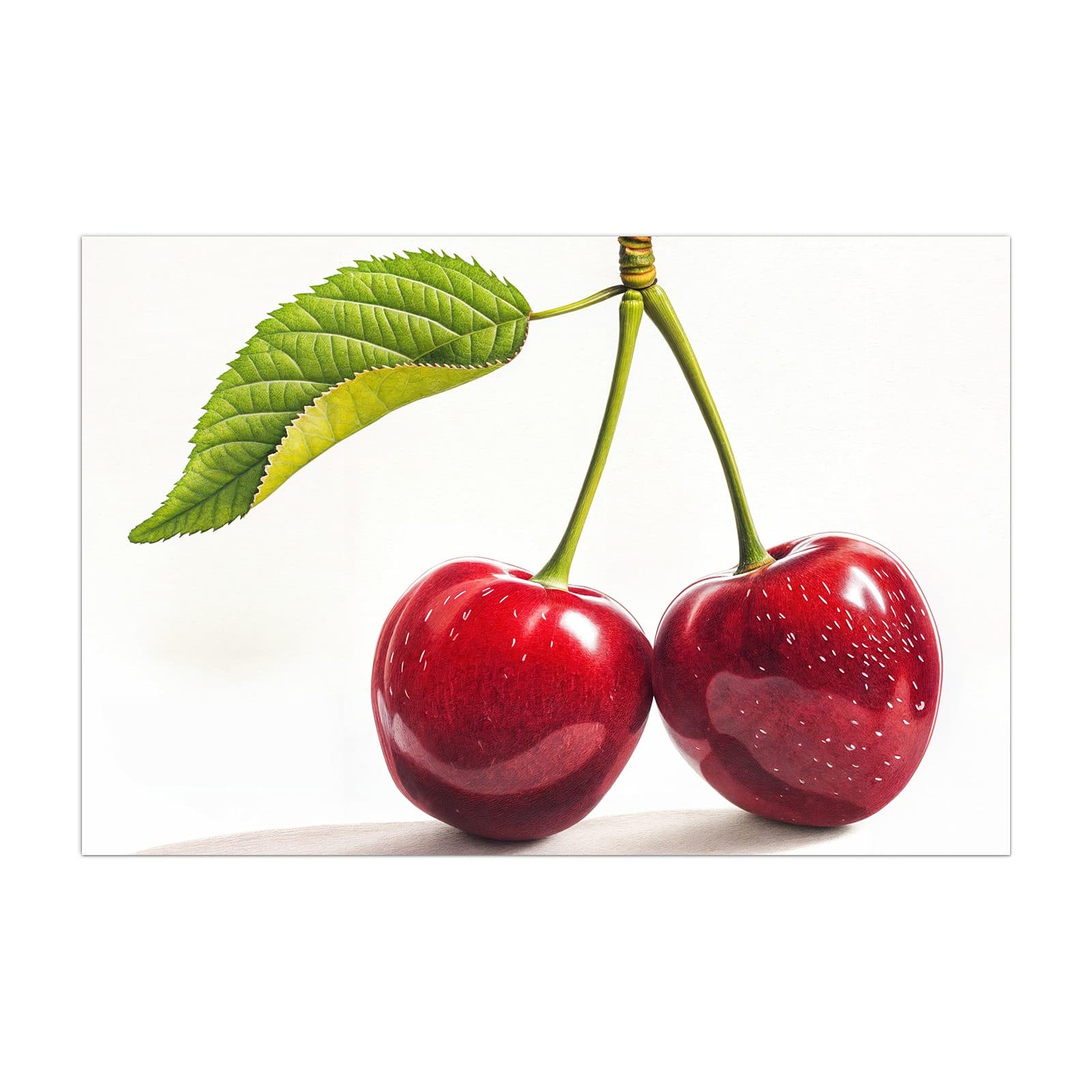 #grösse_40 x 60 cm #grösse_50 x 75 cm #grösse_60 x 90 cm #grösse_80 x 120 cm