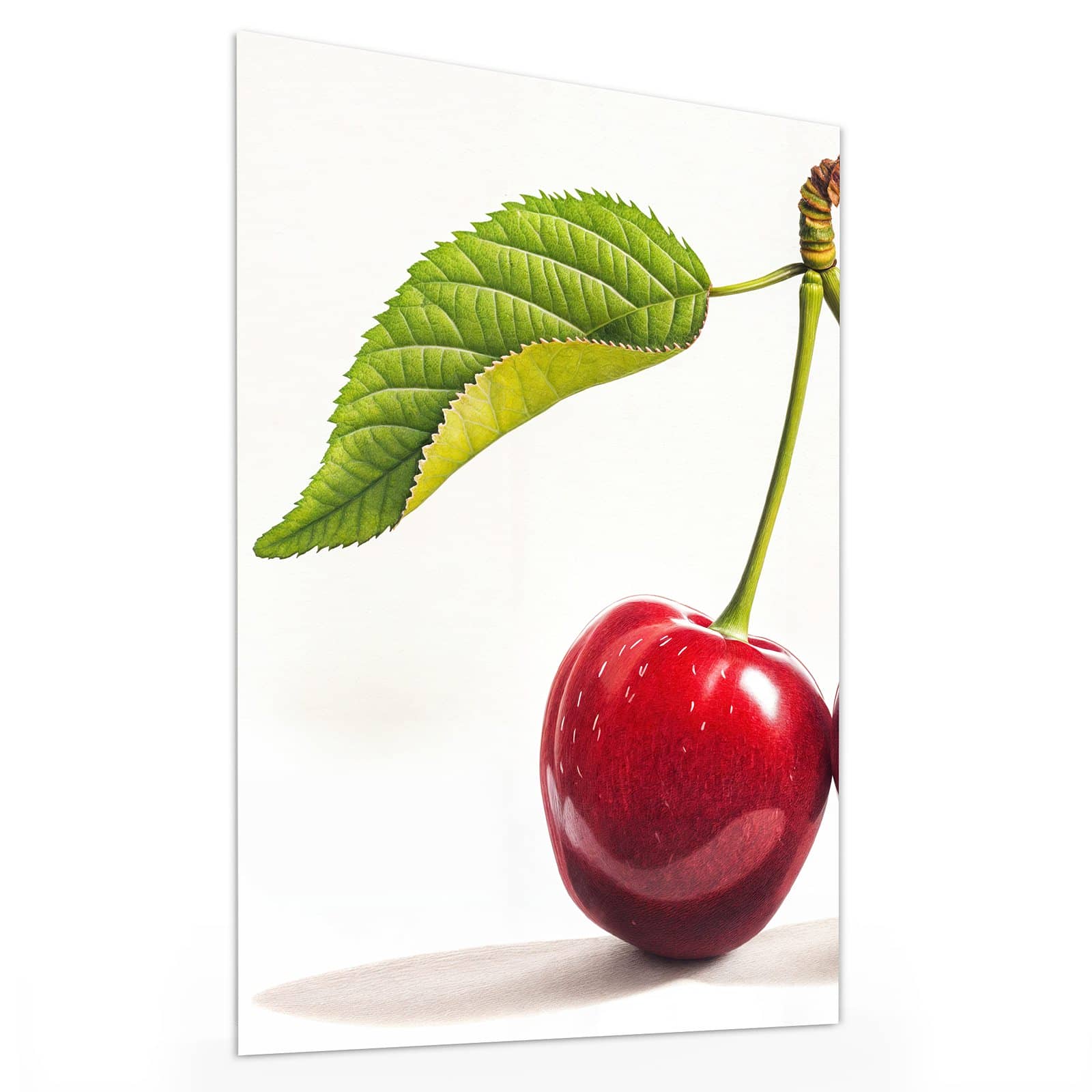 #grösse_30 x 40 cm #grösse_60 x 80 cm #grösse_75 x 100 cm