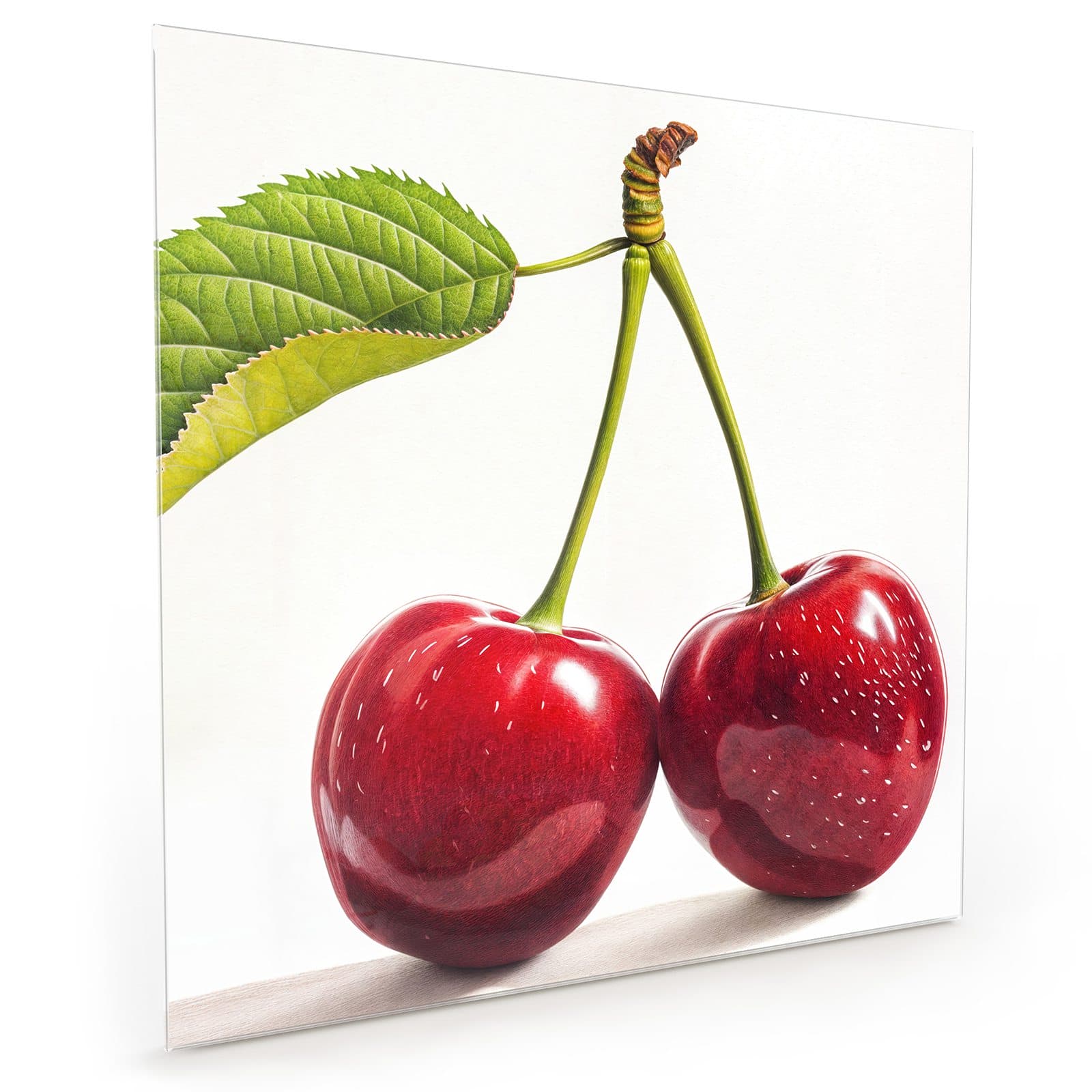 #70 x 70 cm_