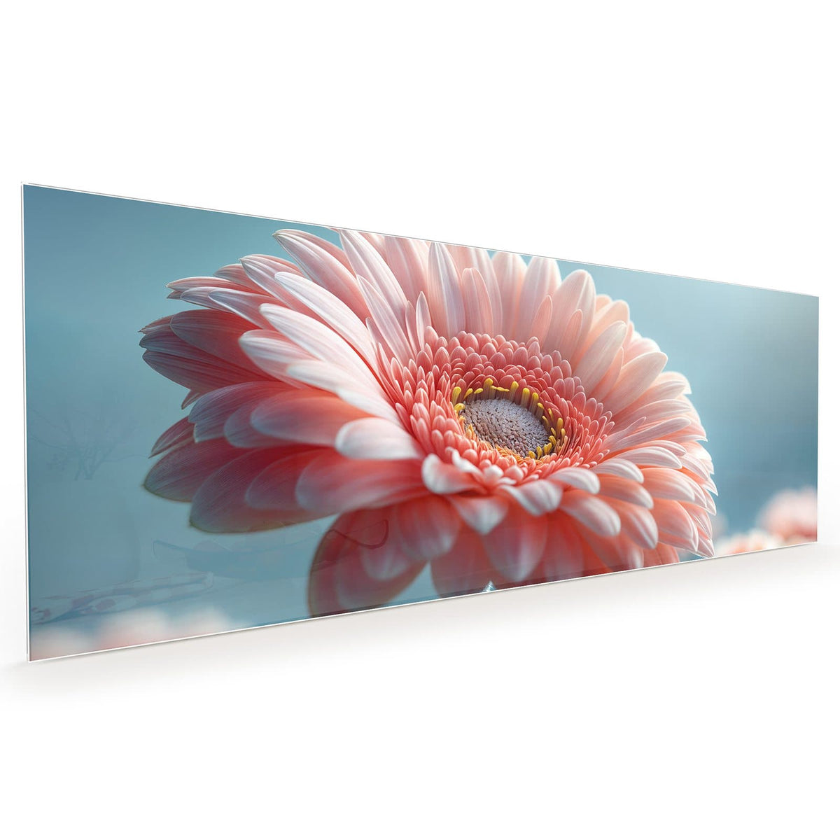 #grösse_40 x 100 cm #grösse_50 x 125 cm #grösse_60 x 150 cm
