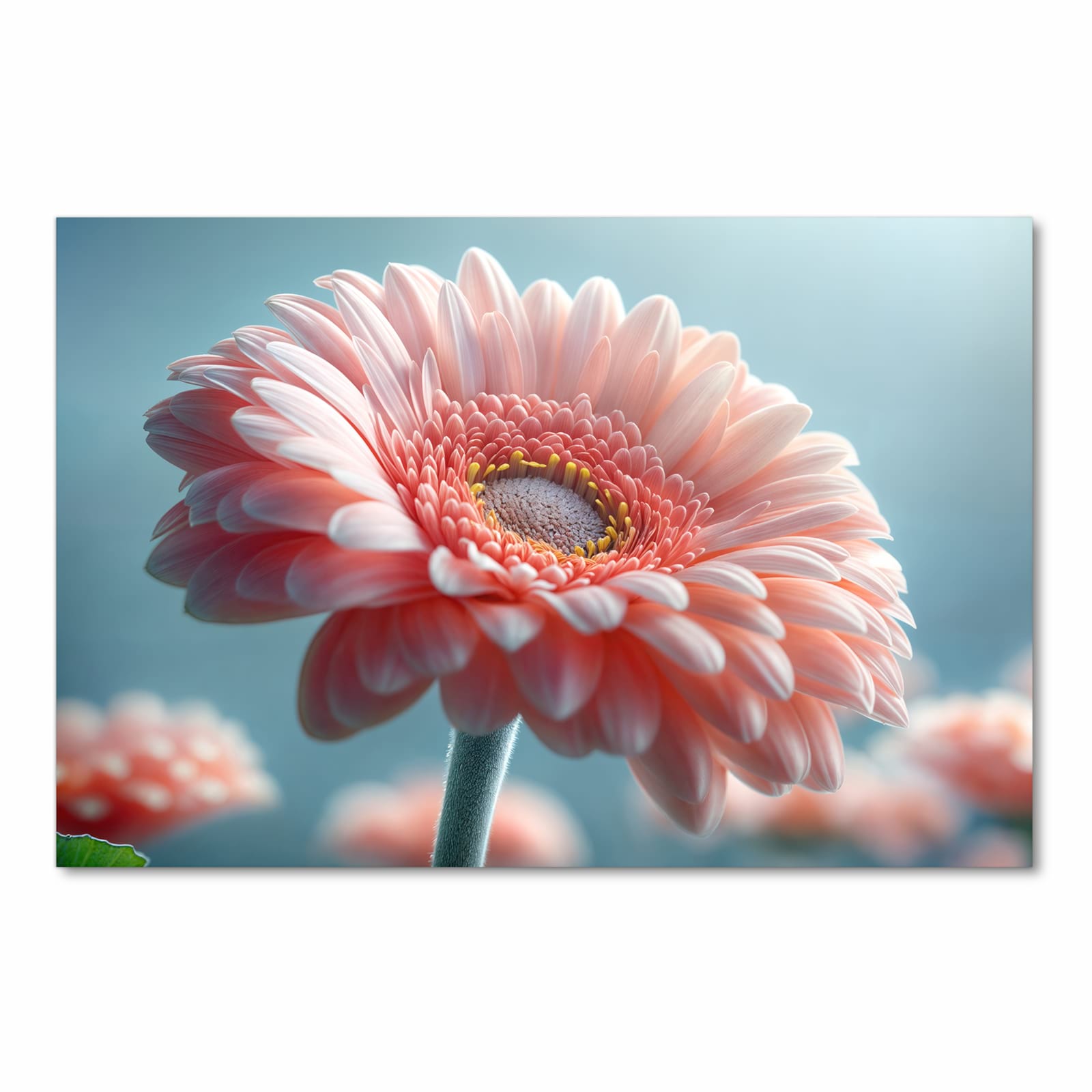 UV-beständiger Küchenteppich mit Motiv Warme Blumenpracht in Frontansicht