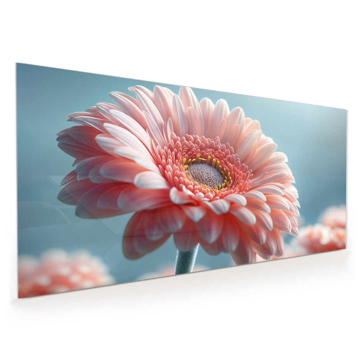 Küchenrückwand aus Glas im Hochformat: Makro einer rosa Gerbera vor hellblauem Grund