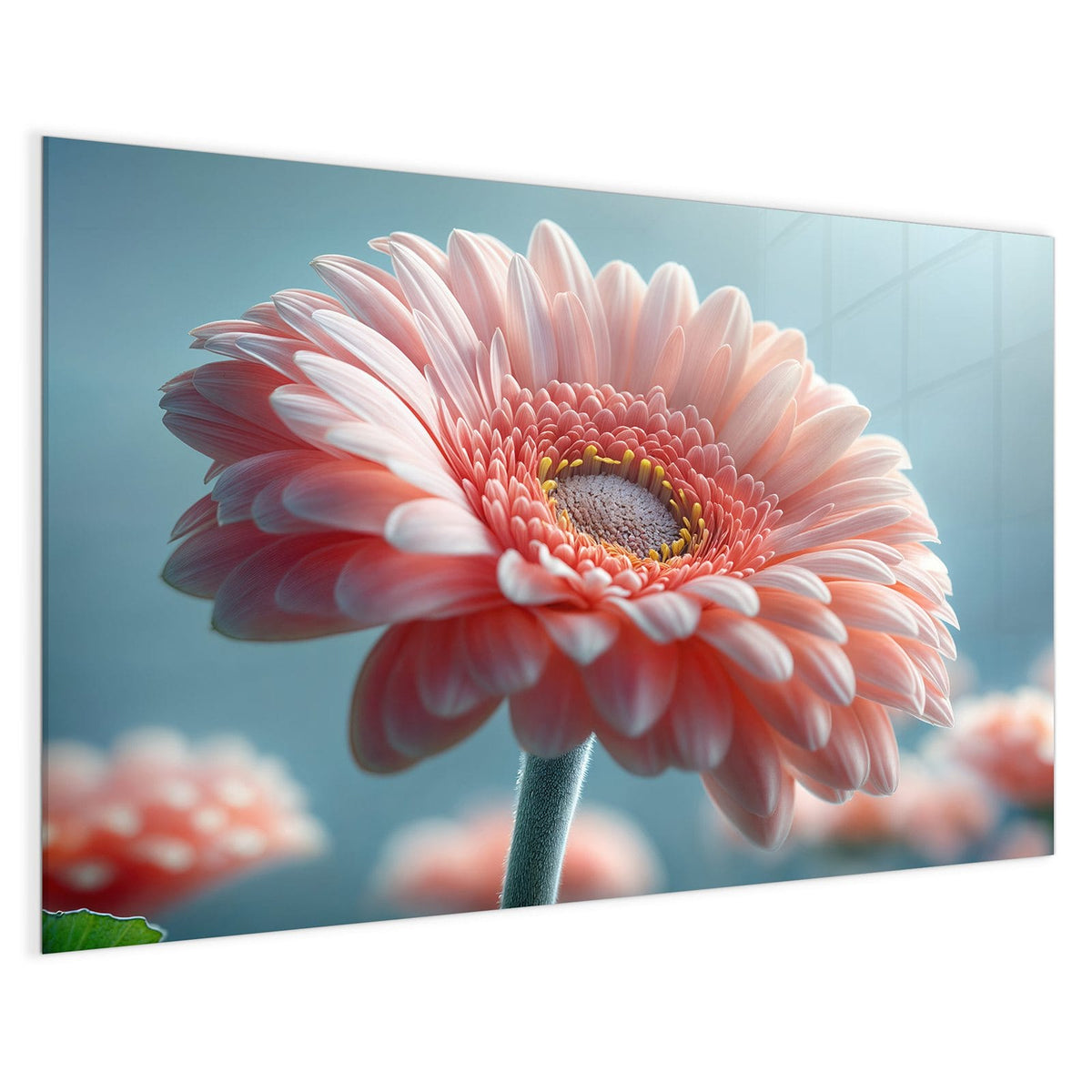 4 mm Glas statt lackiertem Blech – Magnettafel - Rosa Gerbera