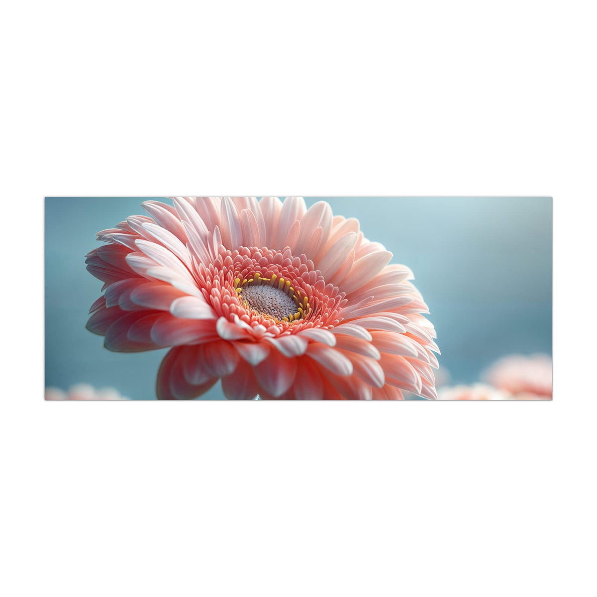 Küchenrückwand aus Glas Rosa Gerbera im Hochformat, Motiv bildfüllend von vorn