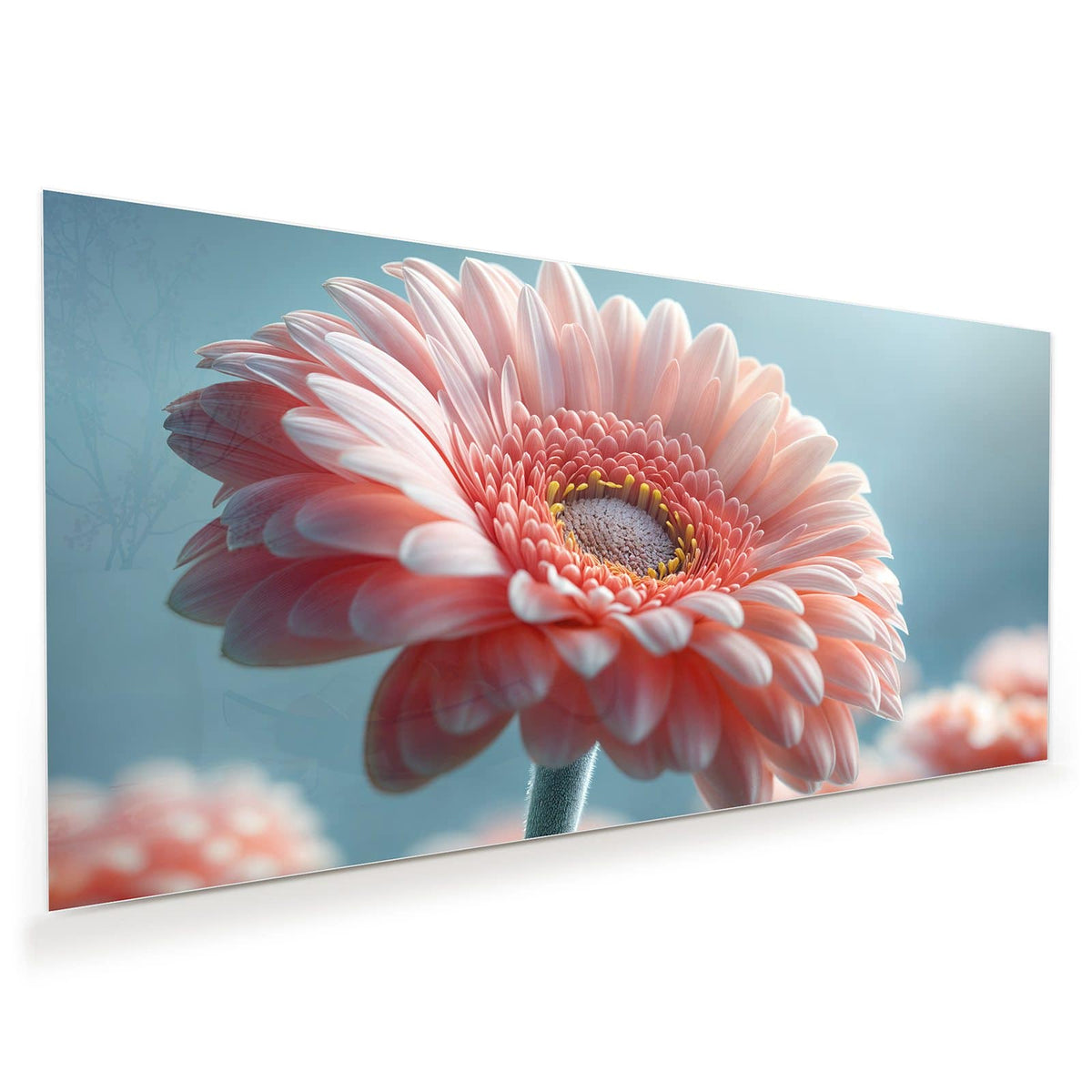 Makro einer rosa Gerbera vor hellblauem Grund