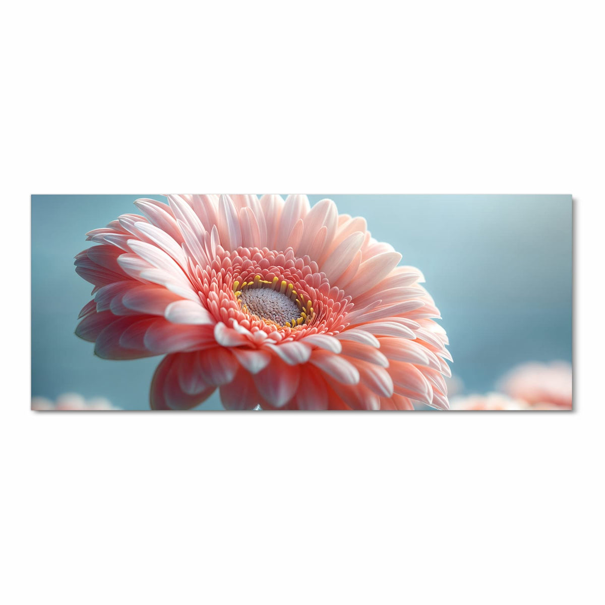 Makro einer rosa Gerbera vor hellblauem Grund