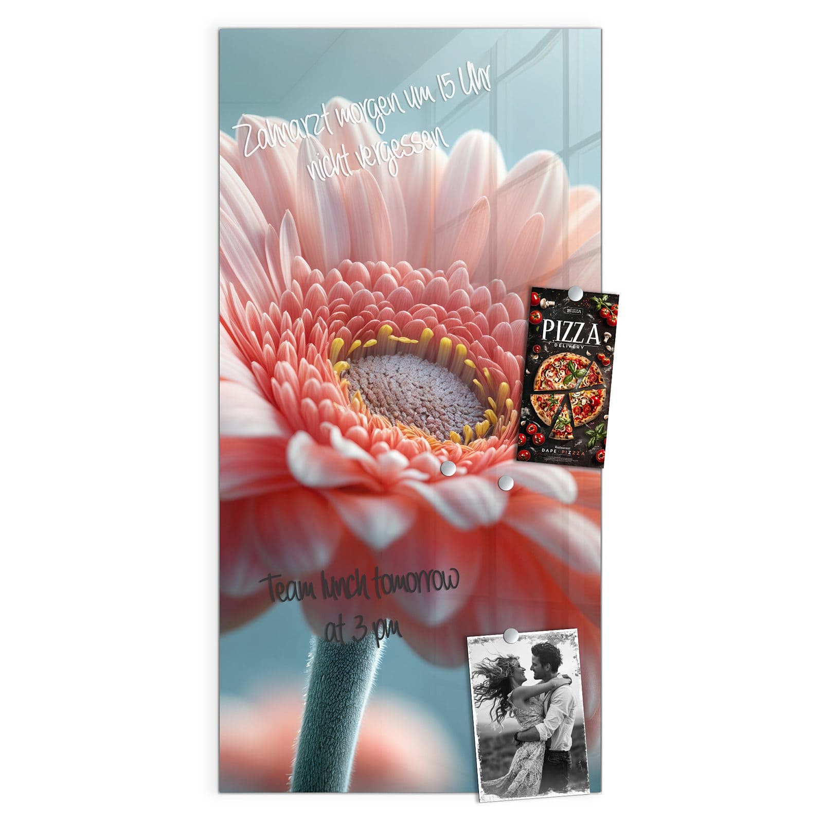 #grösse_50 x 100 cm