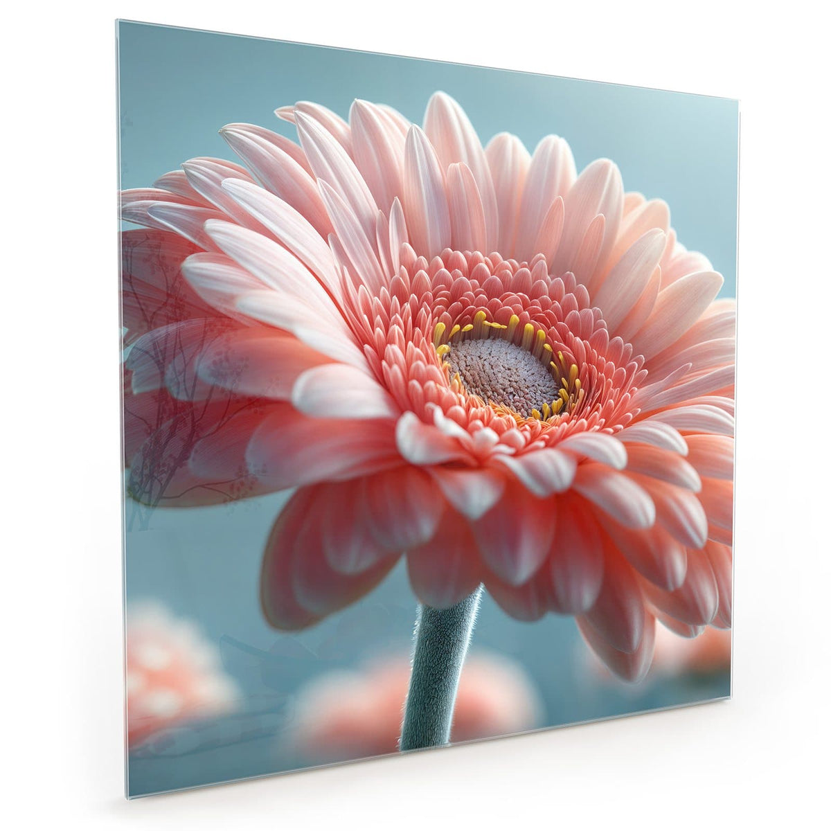 #grösse_40 x 40 cm #grösse_50 x 50 cm #grösse_60 x 60 cm