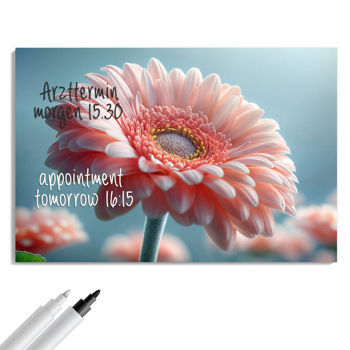 Beschreiben, abwischen, anheften – Metall Magnettafel - Rosa Gerbera