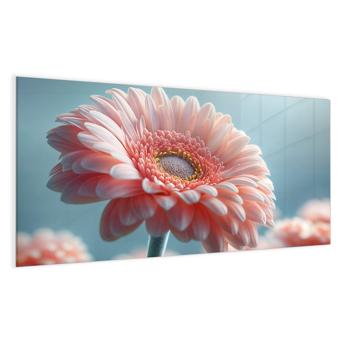 Makro einer rosa Gerbera vor hellblauem Grund