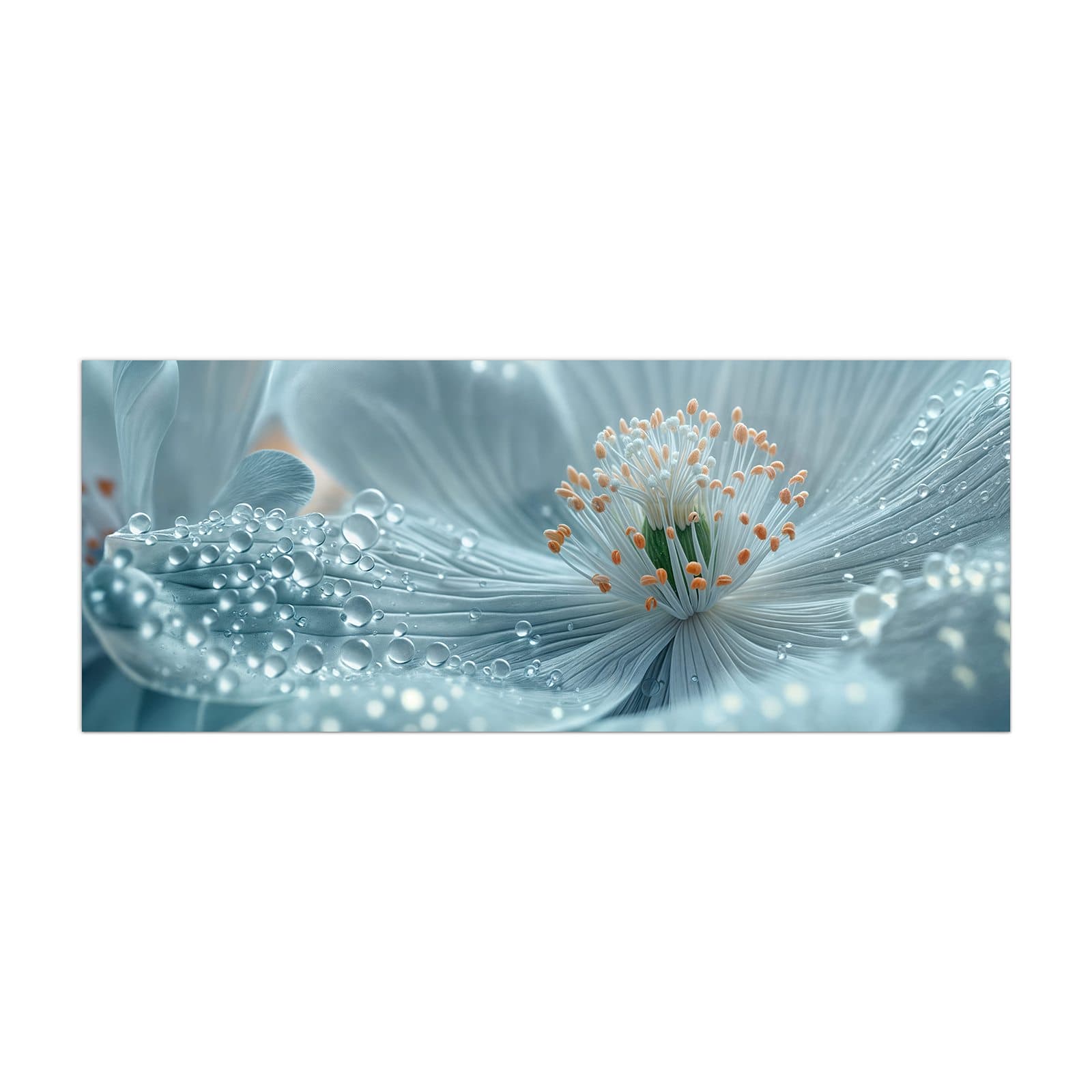 #grösse_40 x 100 cm #grösse_50 x 125 cm #grösse_60 x 150 cm