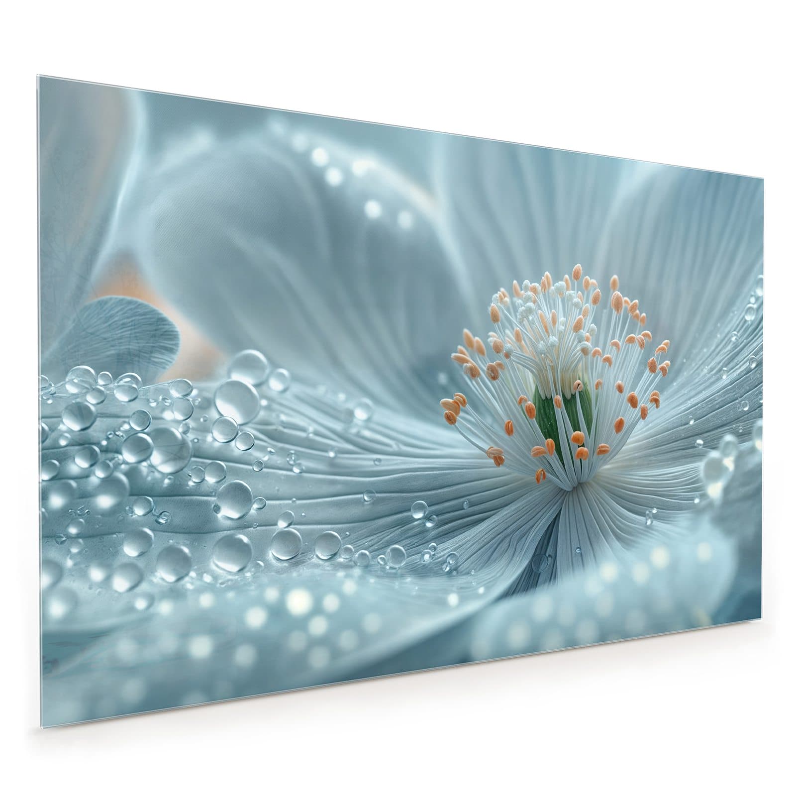 #80 x 120 cm_