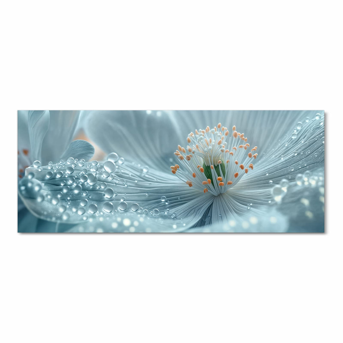 Makro einer eisblauen Blüte mit weißen Staubfäden, orangen Spitzen und Wassertropfen