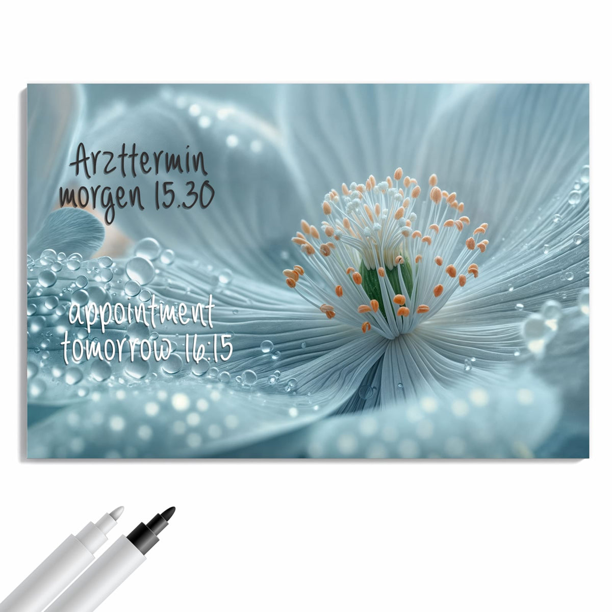 Beschreiben, abwischen, anheften – Metall Magnettafel - Eisblaue Blüte