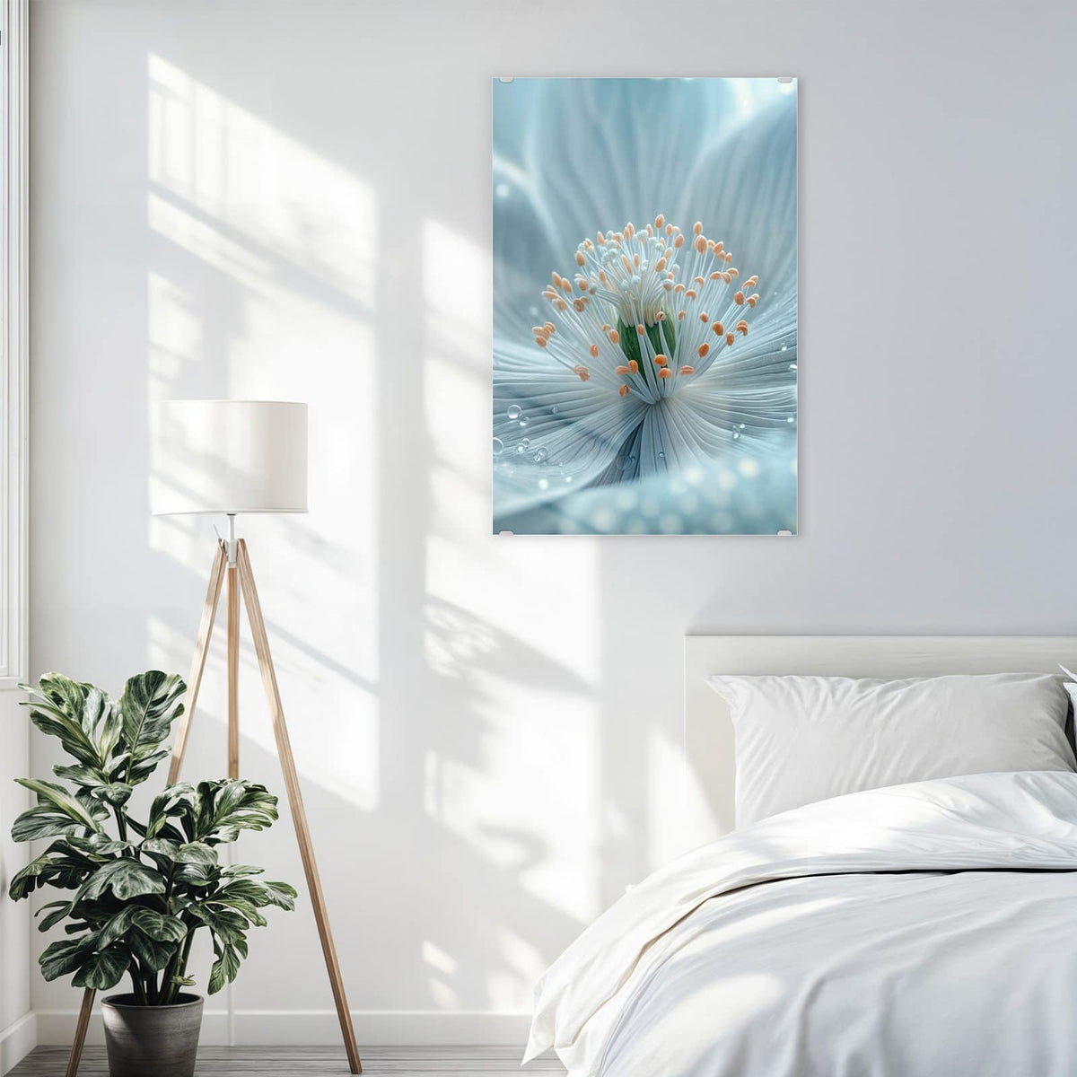 Glasbild Eisblaue Blüte an der Wand – Makro einer eisblauen Blüte mit weißen Staubfäden, orangen Spitzen und Wassertropfen