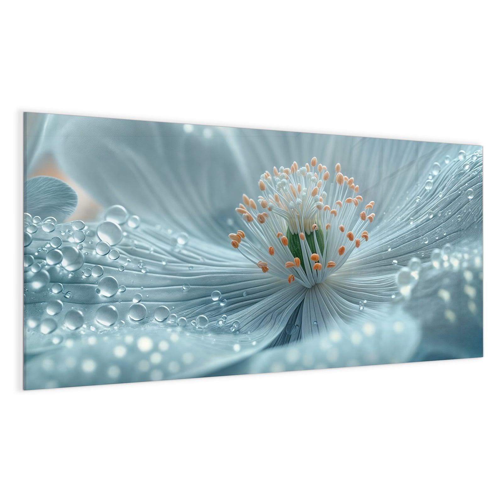 #grösse_100 x 50 cm