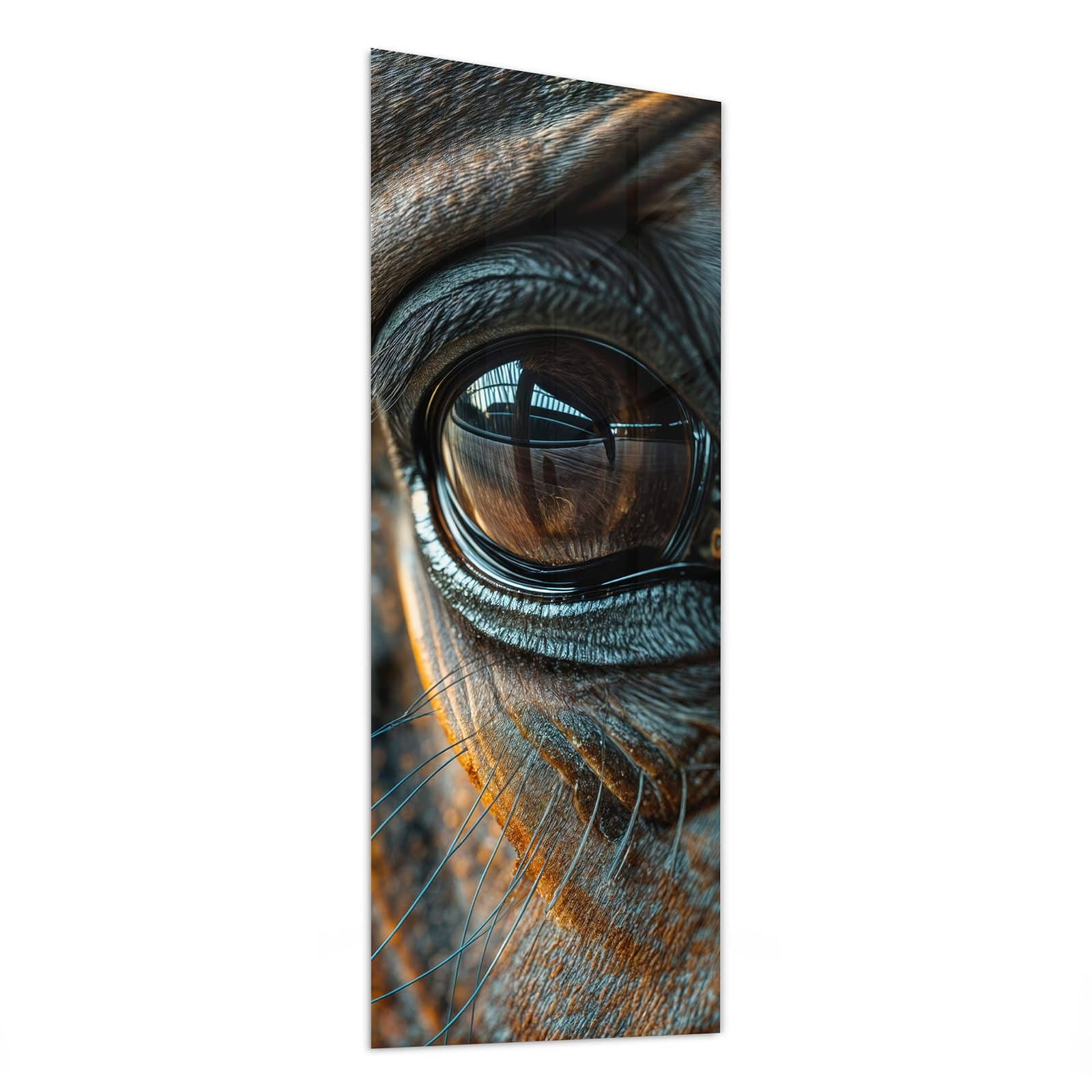 #grösse_50 x 125 cm #grösse_40 x 100 cm #grösse_60 x 150 cm