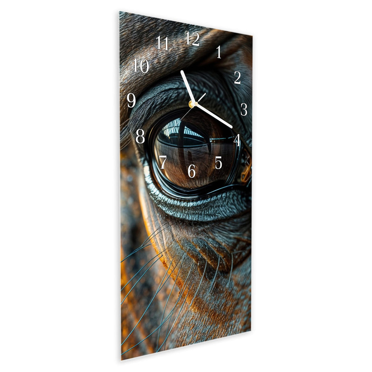 Vormontiert – mit Schwebeeffekt – Wanduhr Pferdeauge aus Glas – Hochformat 30 × 60 cm