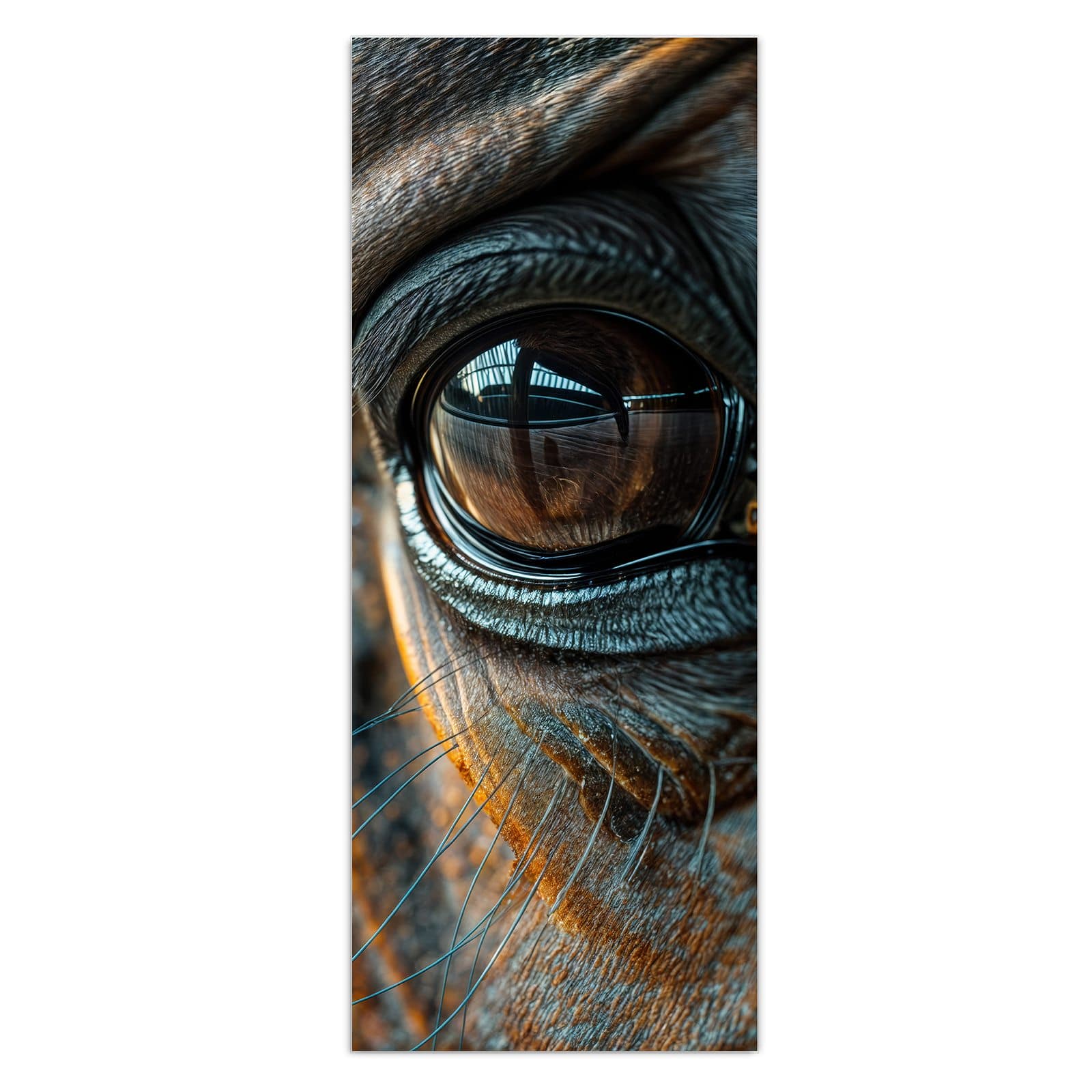 #grösse_50 x 125 cm #grösse_40 x 100 cm #grösse_60 x 150 cm