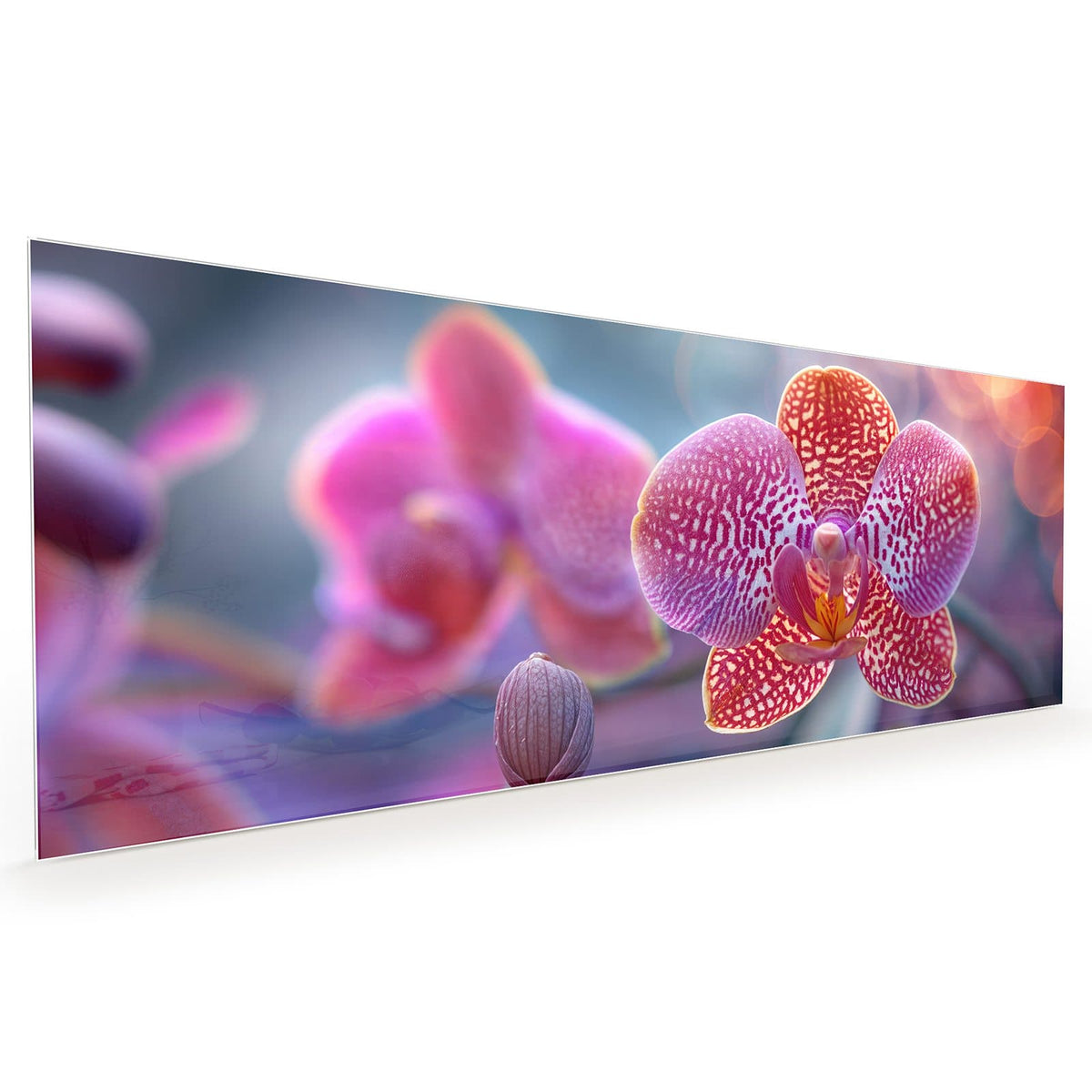 #grösse_40 x 100 cm #grösse_50 x 125 cm #grösse_60 x 150 cm