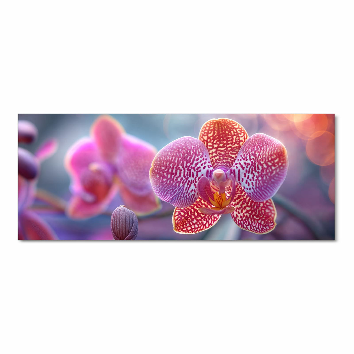 Pink gesprenkelte Orchideenblüte mit Knospe vor pastelligem Bokeh