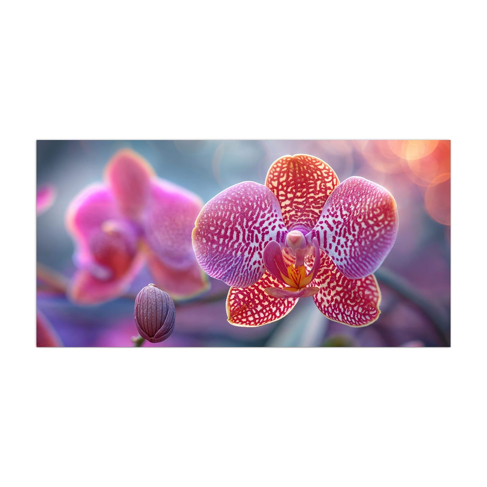 #grösse_40 x 80 cm #grösse_50 x 100 cm #grösse_55 x 110 cm #grösse_60 x 120 cm