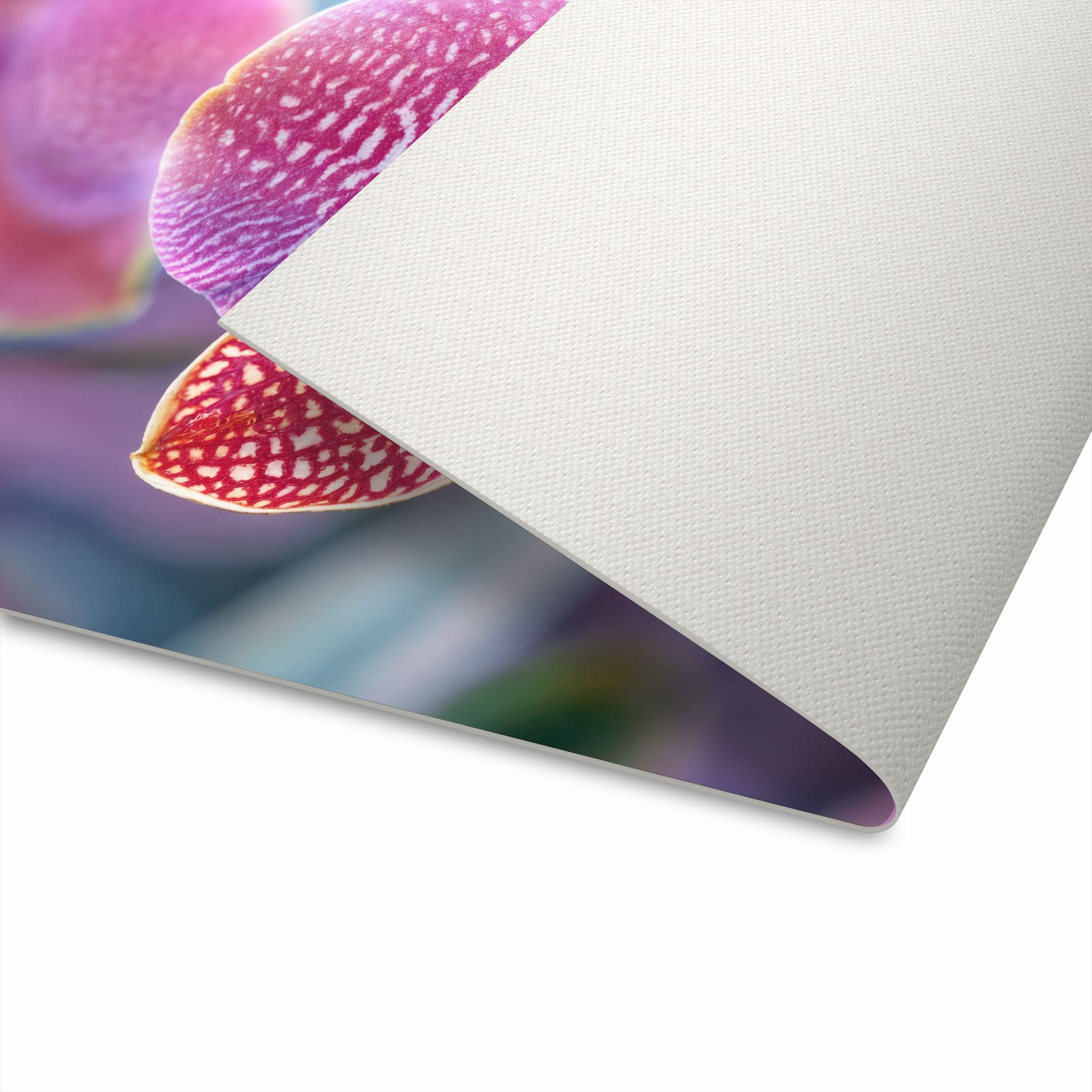 Fleckenresistenter Küchenteppich mit Motiv Exotische Orchidee auf Unterseite