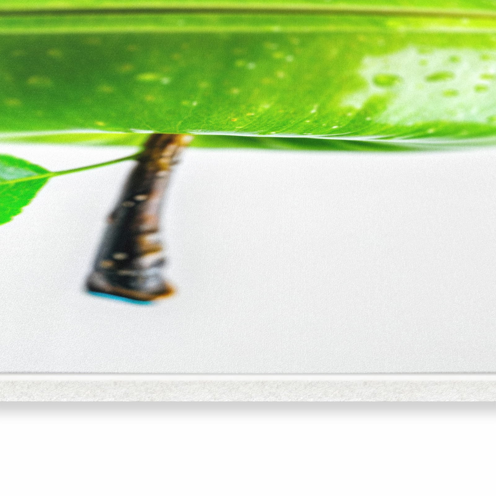 Küchenvorleger mit Motiv Geschnittener Apfel in seitlicher Ansicht für Ordnung