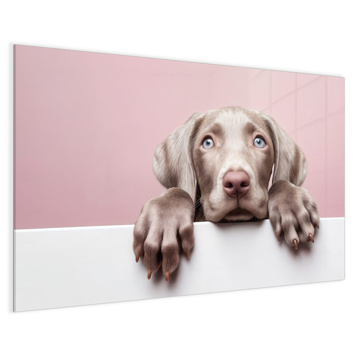 4 mm Glas statt lackiertem Blech – Magnettafel - Weimaraner Welpe